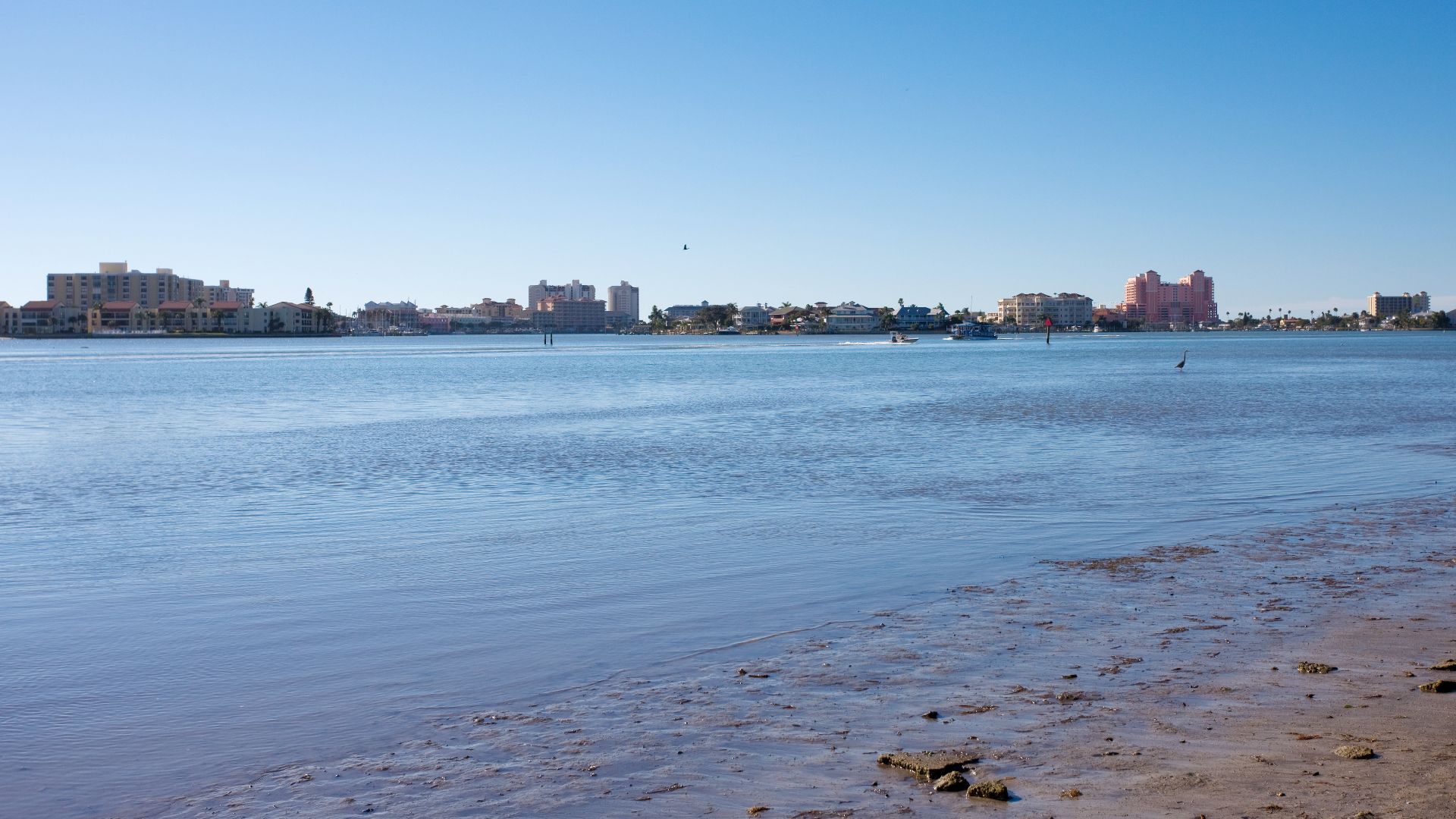 File:Clearwater Beach, Florida (35575188995).jpg