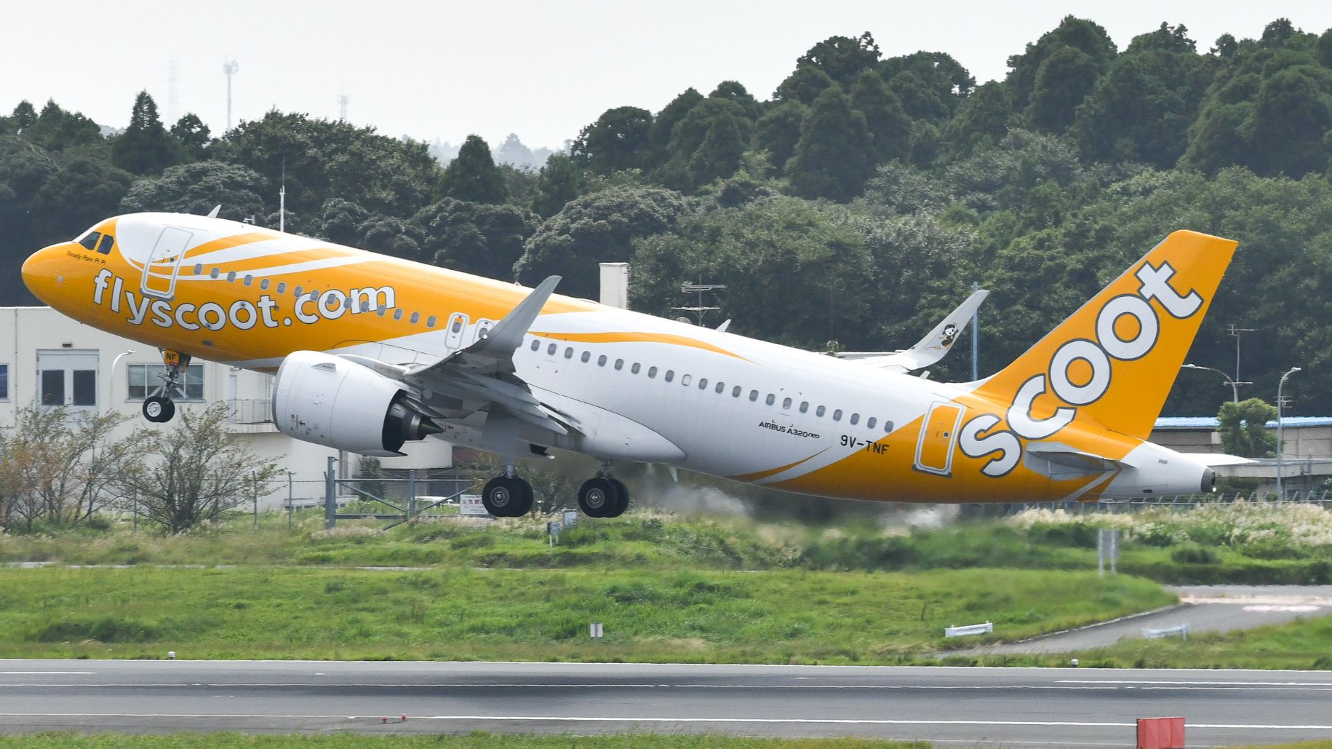 File:Scoot Airbus A320-271neo (9V-TNF) at Narita Airport (1).jpg