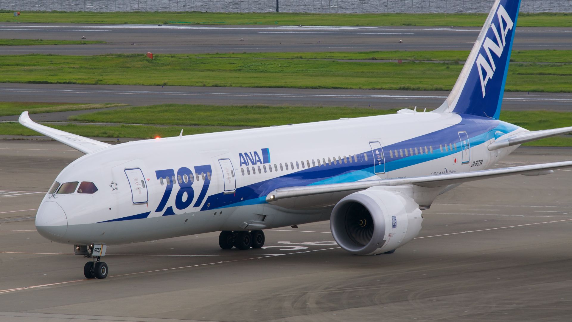 File:All Nippon Airways, Boeing 787-8 Dreamliner, JA803A (16870467506).jpg