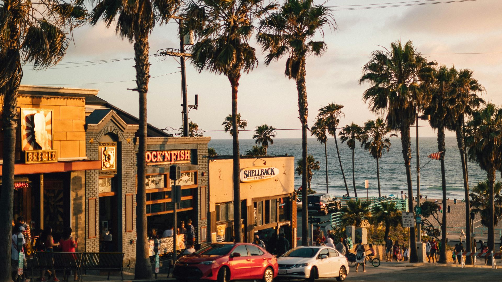 vehicles parked near tree and building