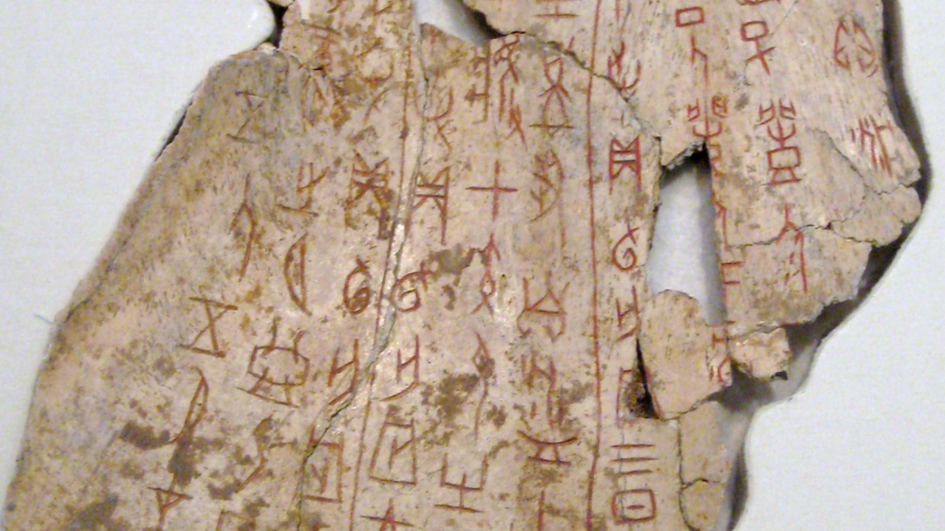 File:Shang dynasty inscribed scapula.jpg