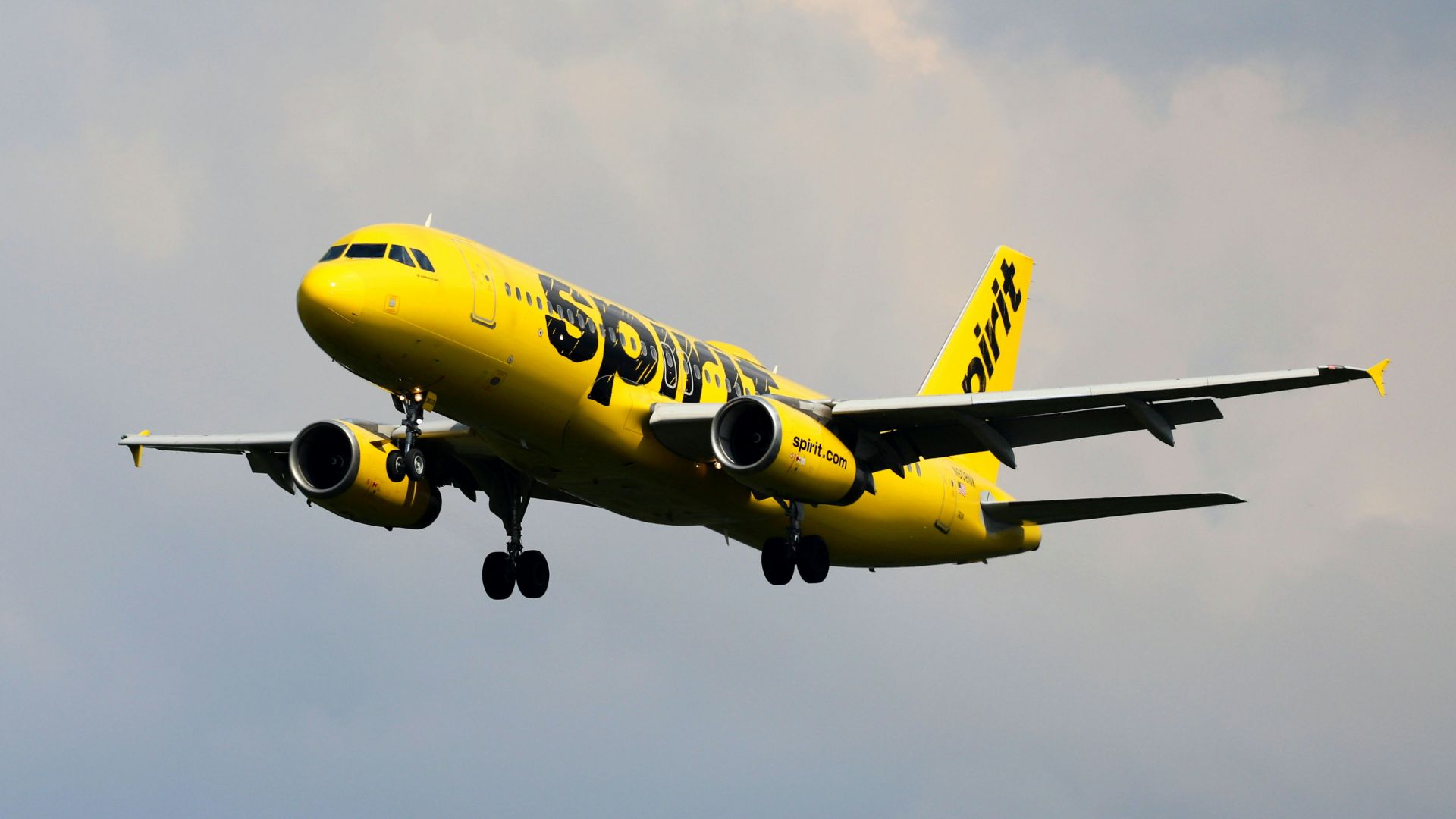 a yellow and black airplane flying