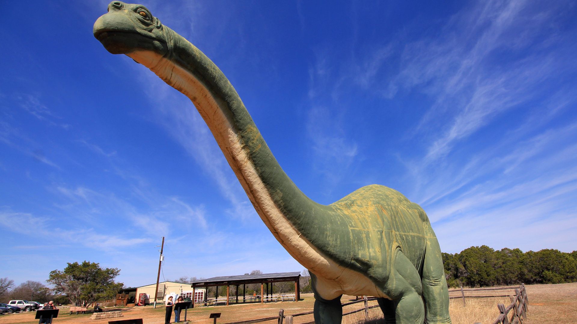 File:Apatosaurus Model Dinosaur Valley State Park Texas 2023.jpg