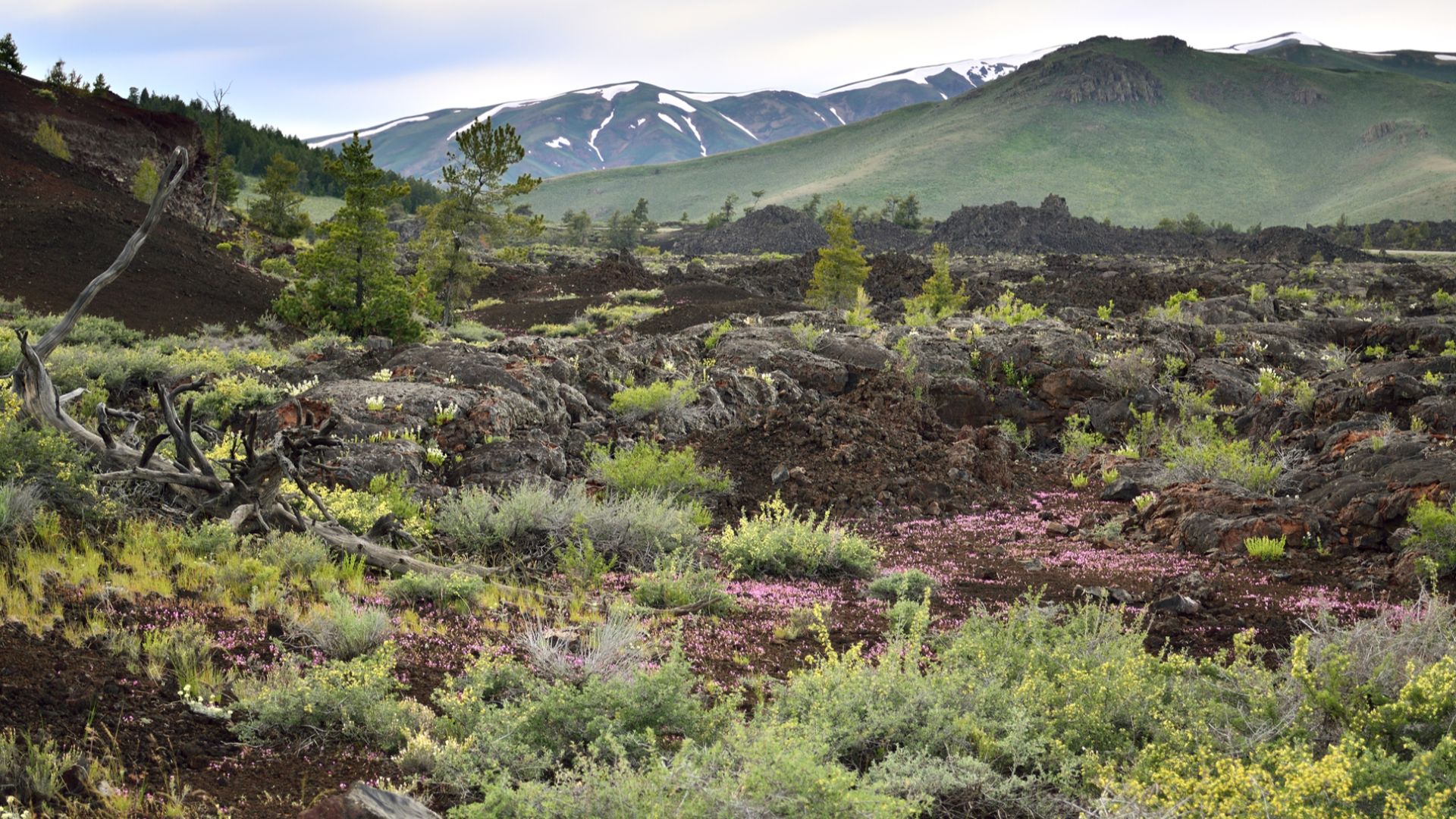 File:My Public Lands Roadtrip- Craters of the Moon National Monument in Idaho (18801359775).jpg