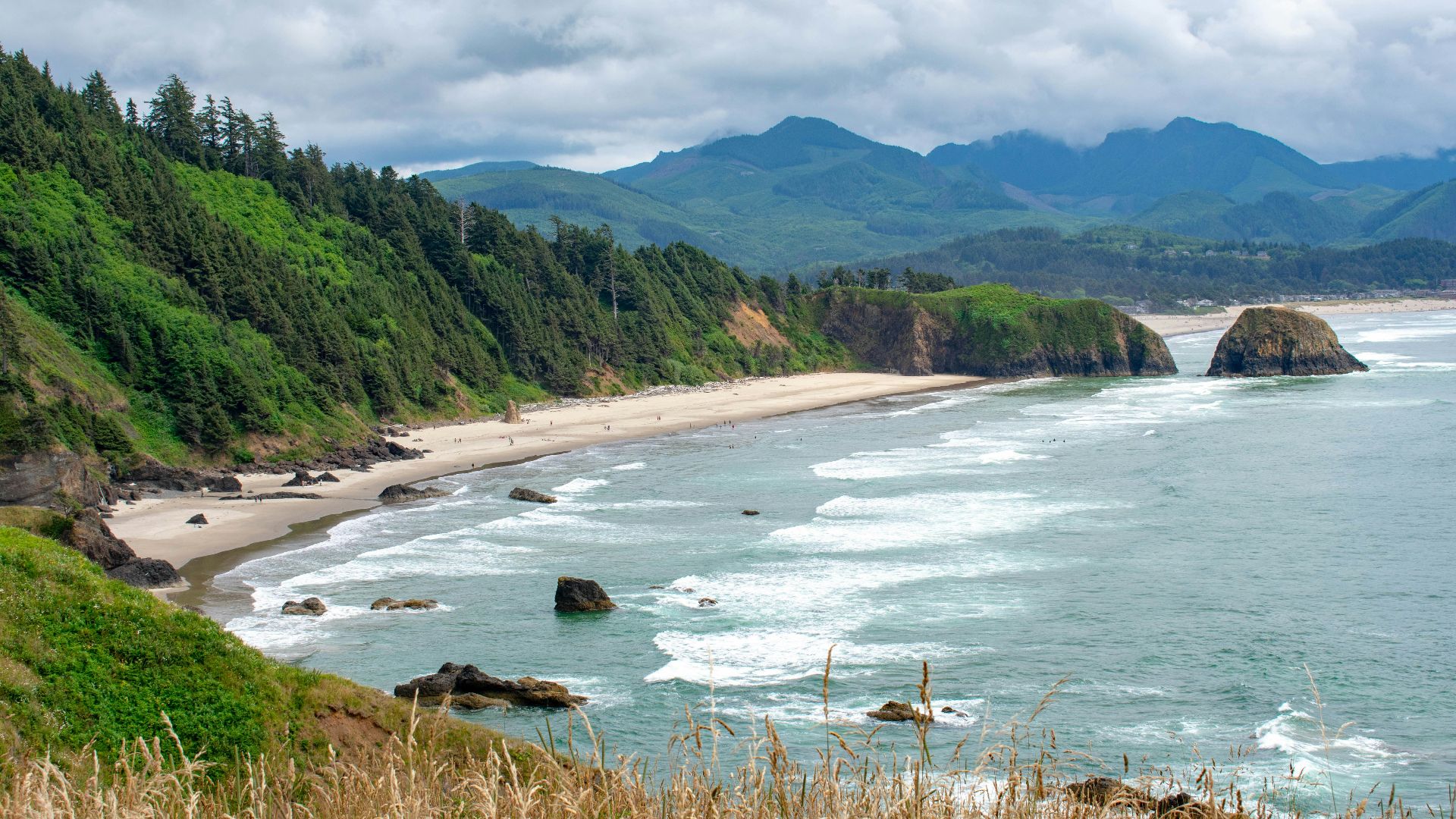 green trees on brown field near body of water under white clouds and blue sky during