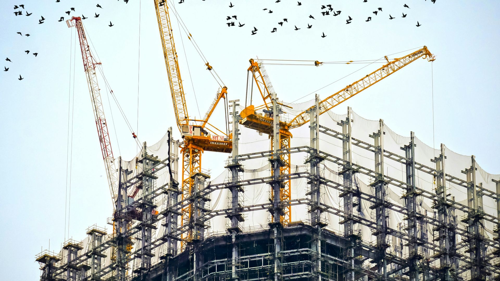 low angle photography of cranes on top of building