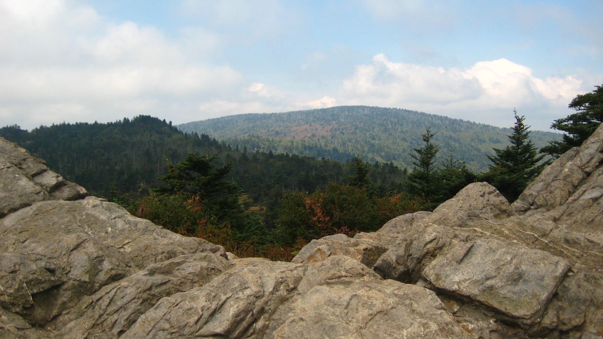 File:Mount Rogers National Recreation Area.jpg