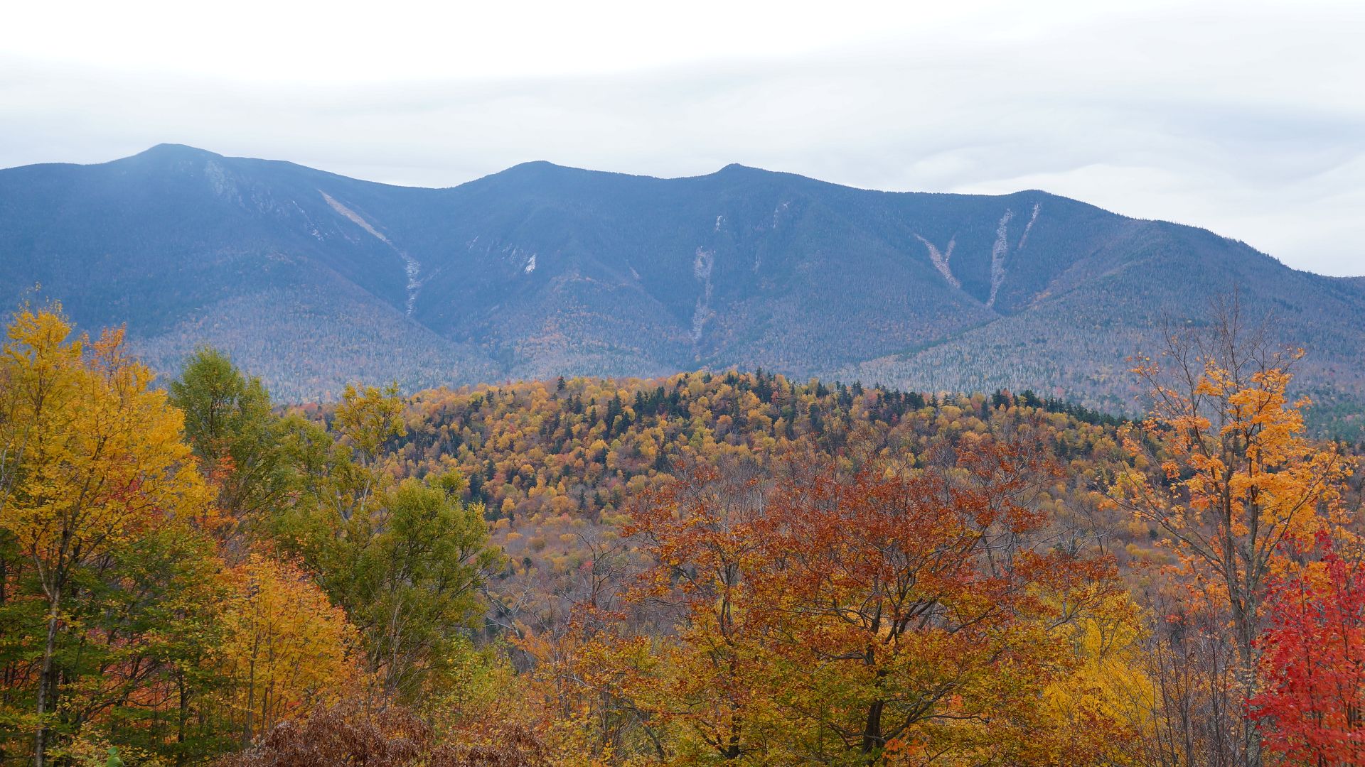 File:White Mountain National Forest - panoramio (5).jpg