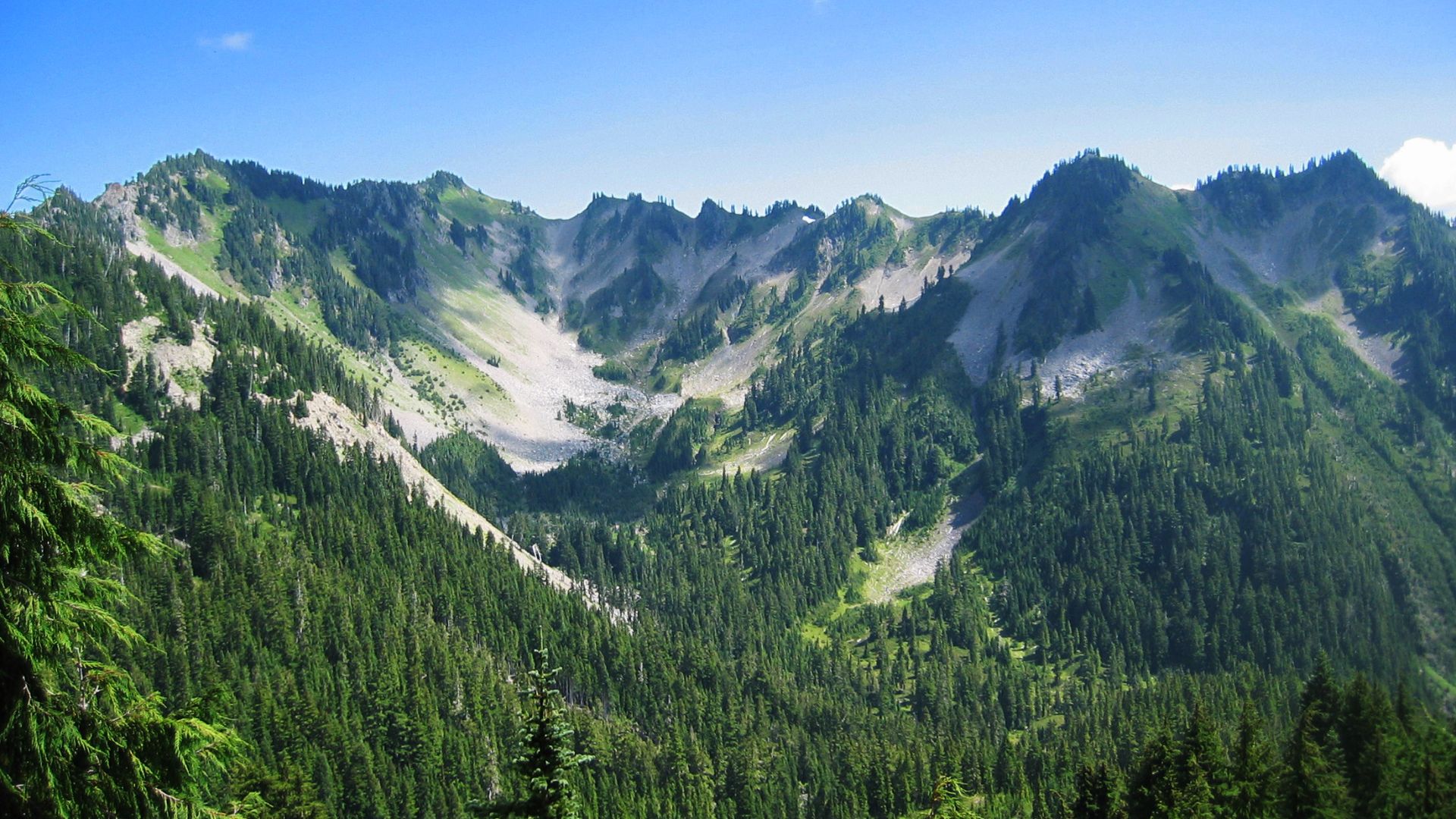 File:Olympic NP Washington USA3.jpg