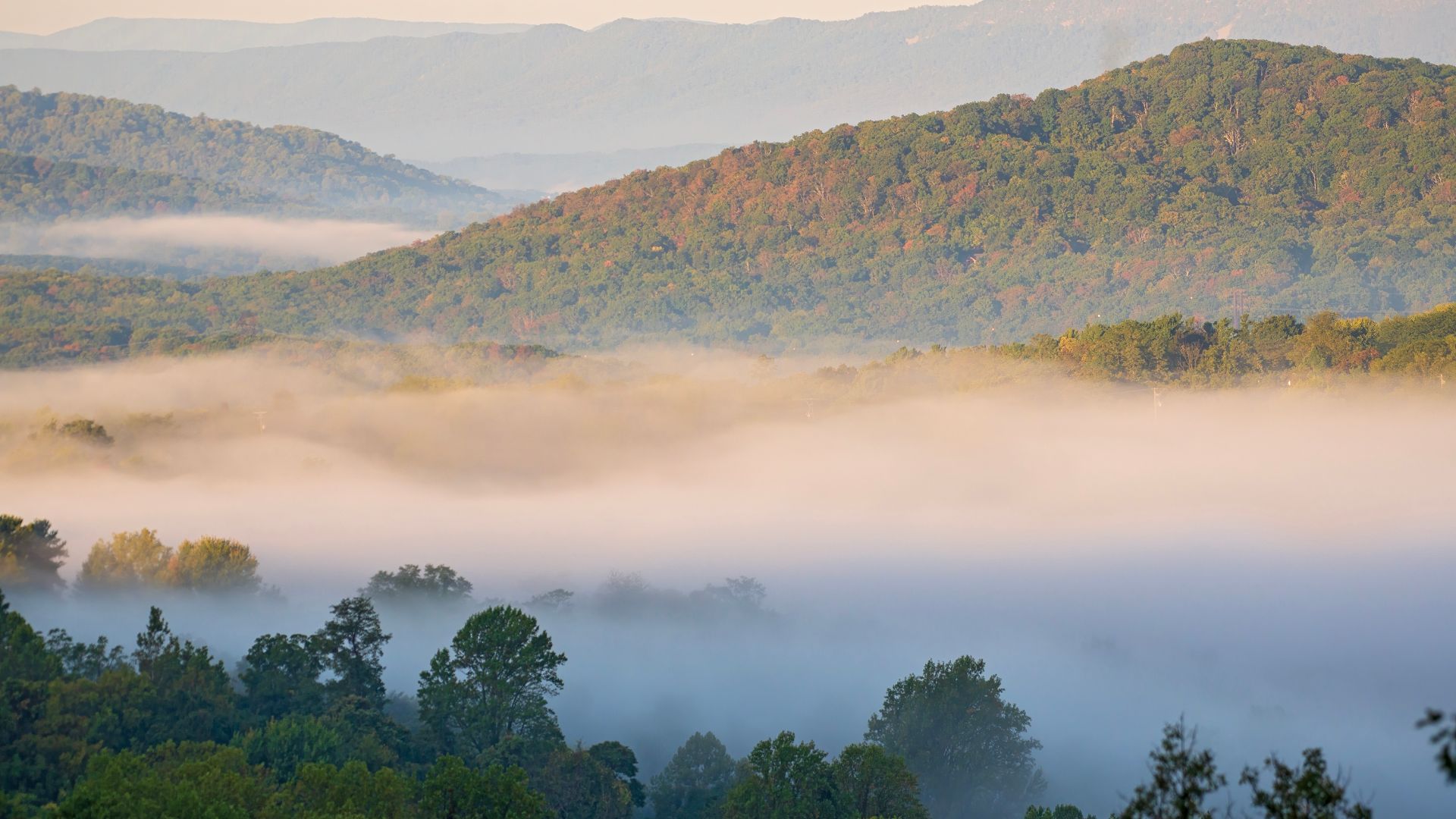 File:Shenandoah National Park - Front Royal, VA.jpg