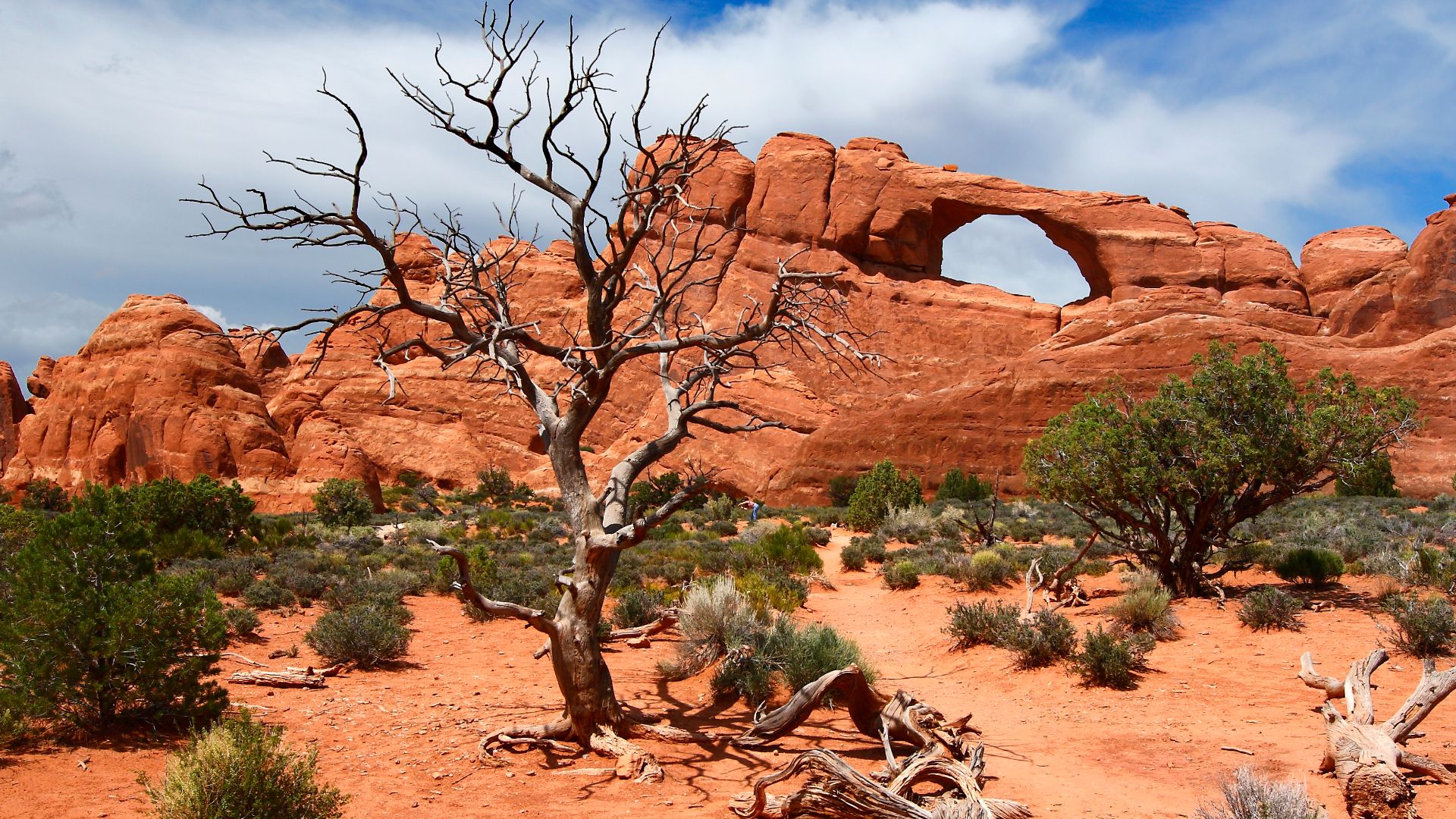 File:Skyline Arch at Arches National Park-Unburnsky.jpg
