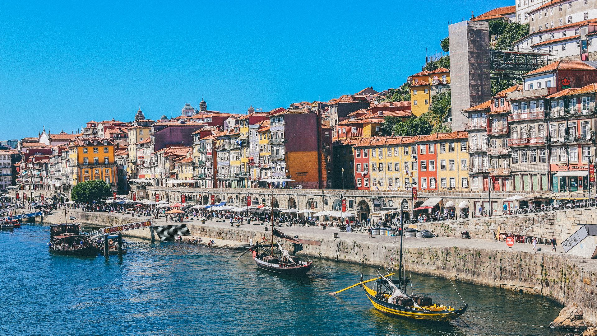 boats docked near seaside promenade]