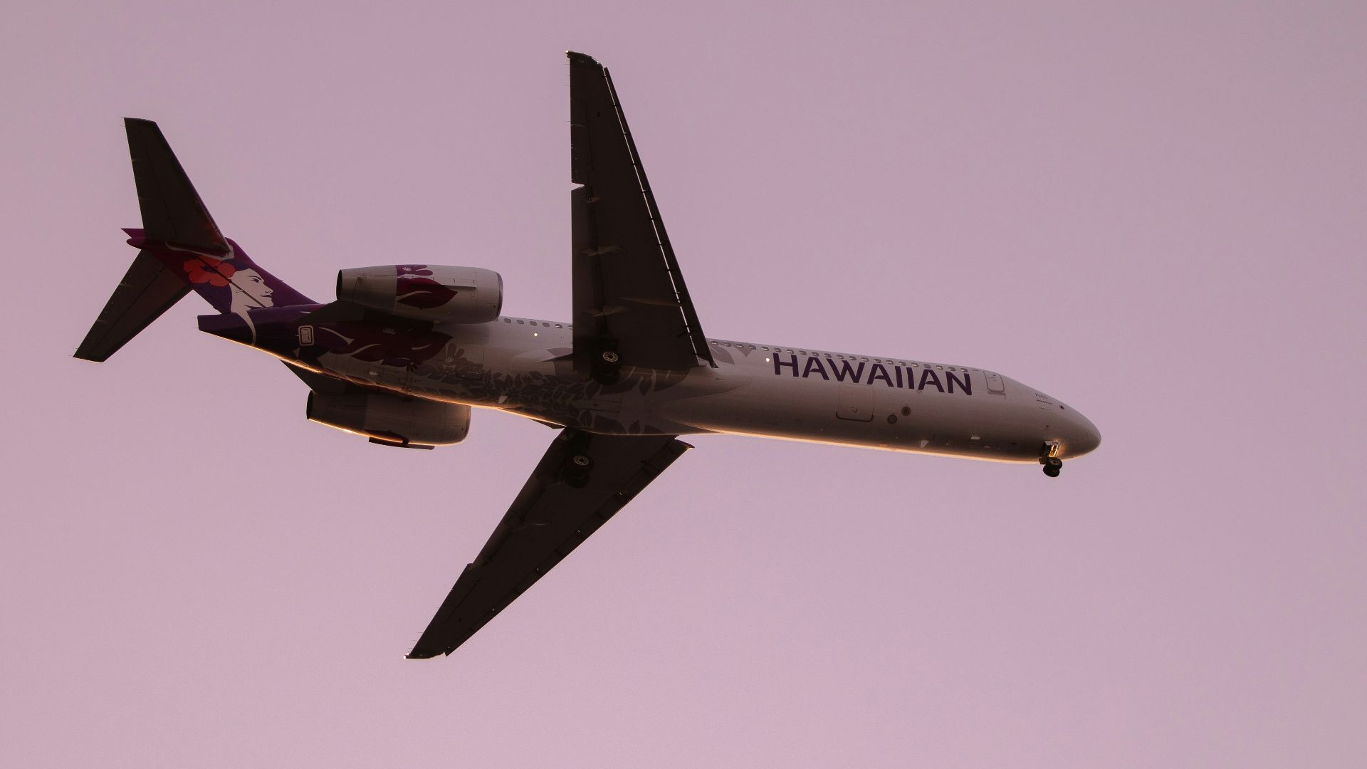 an airplane flying in the air with a pink sky background