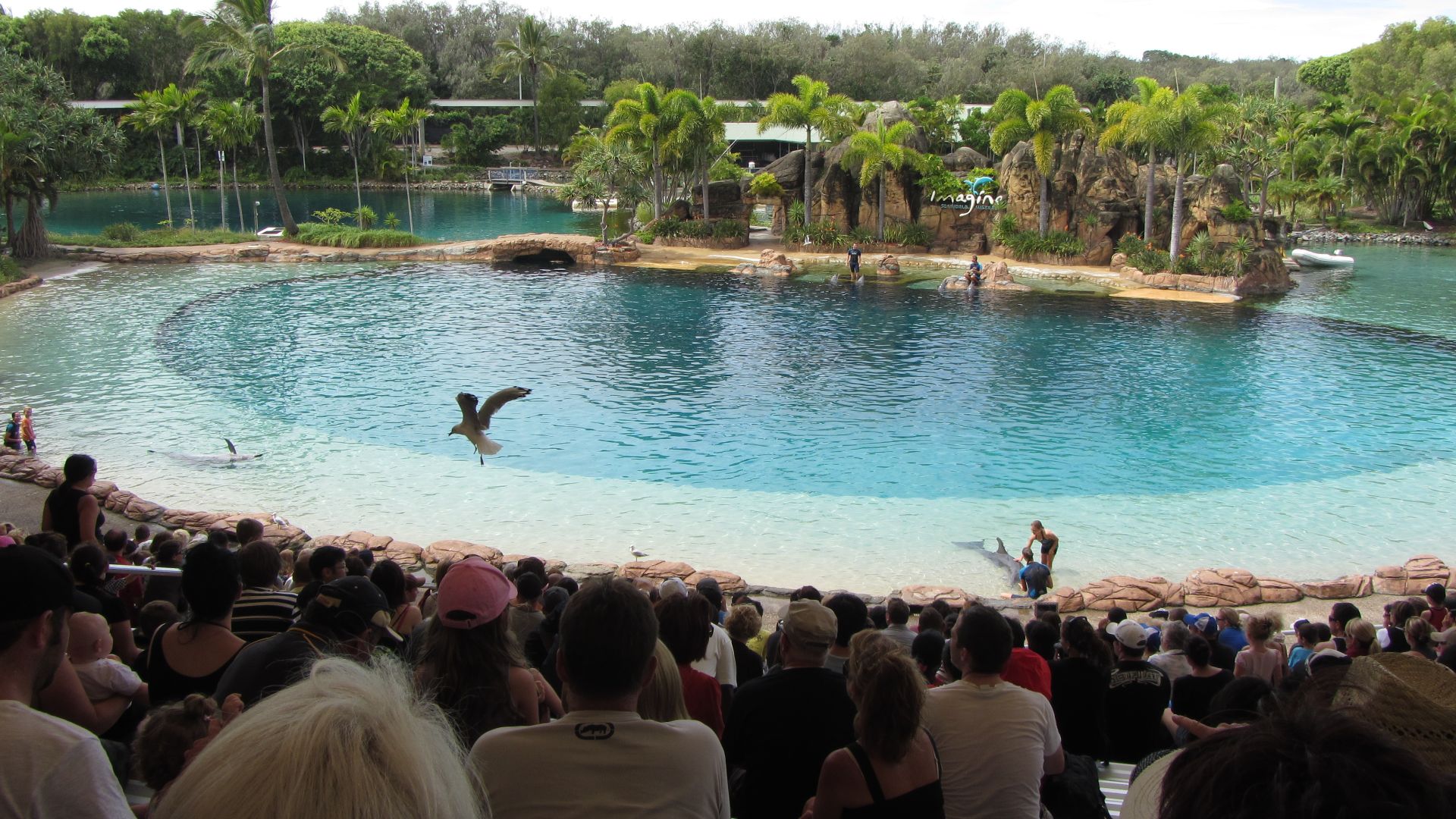 File:Sea World (Australia) 02.jpg