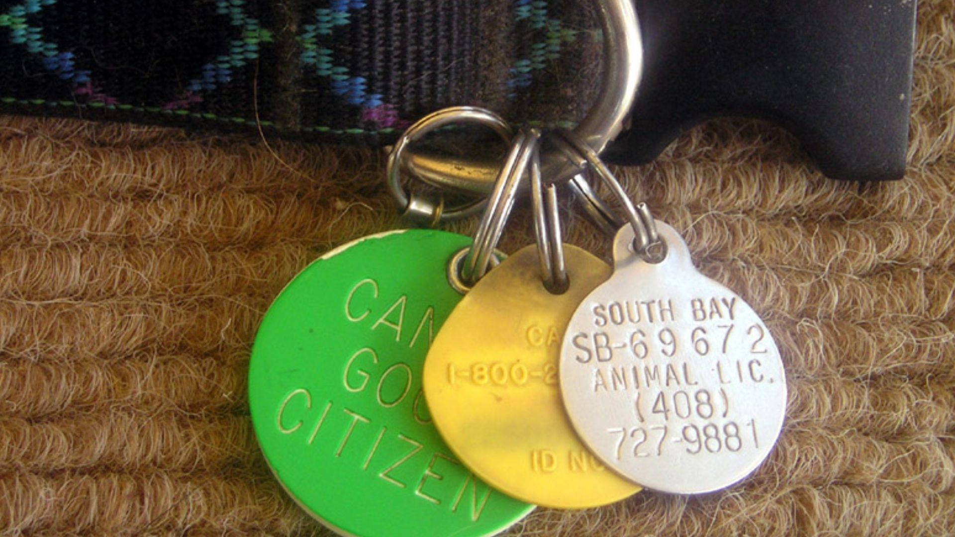 File:DogTags license fxwb.jpg