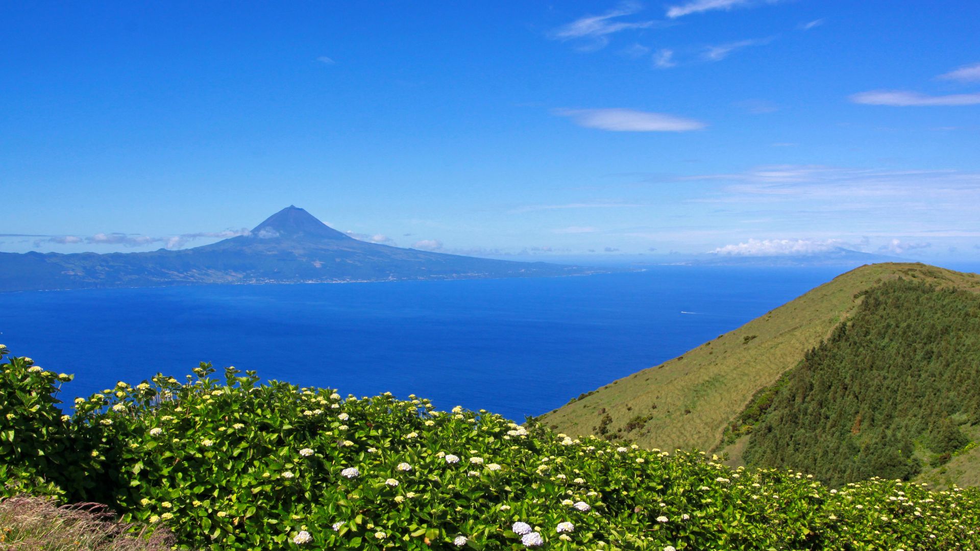 File:Açores 2010-07-19 (5047589237).jpg