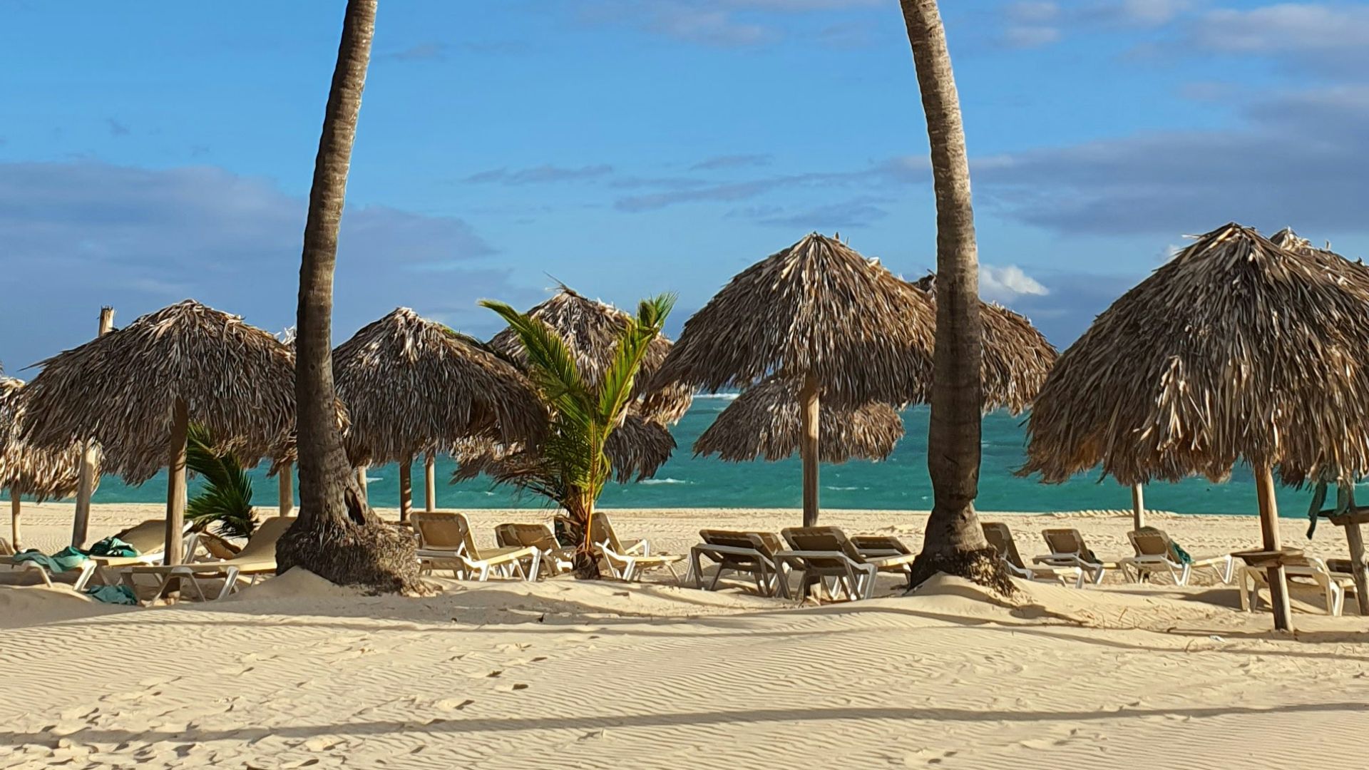 a sandy beach with palm trees and thatched umbrellas