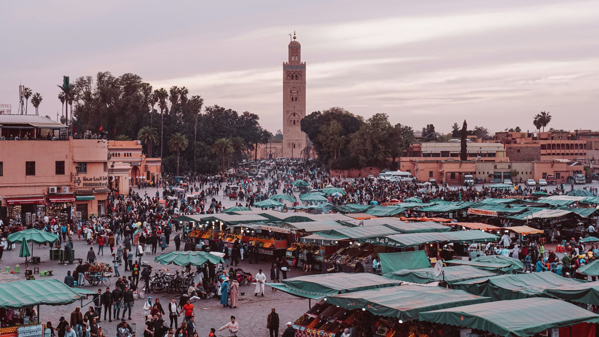 people walking on street near buildings during daytime