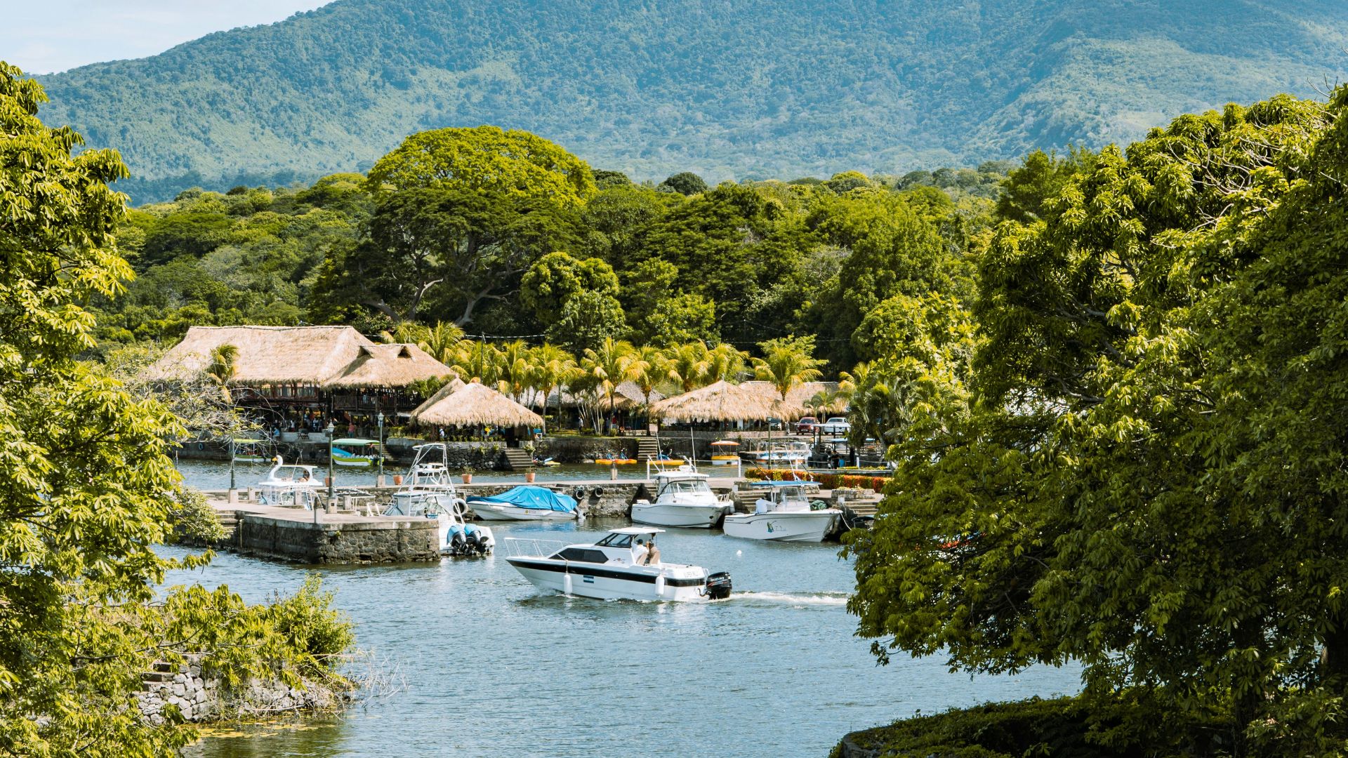 green trees near body of water during daytime