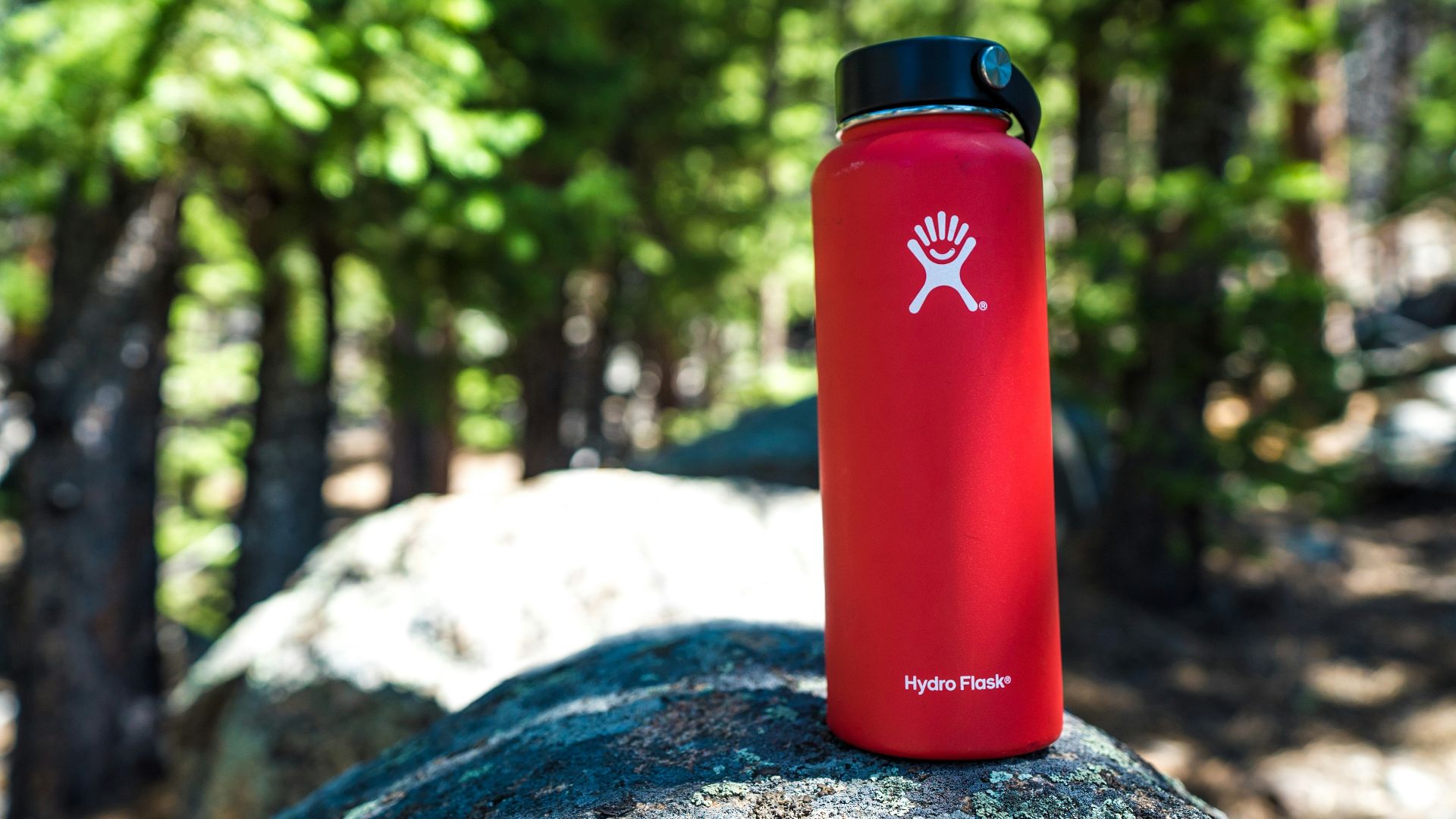 red and black plastic hydro flask on rock