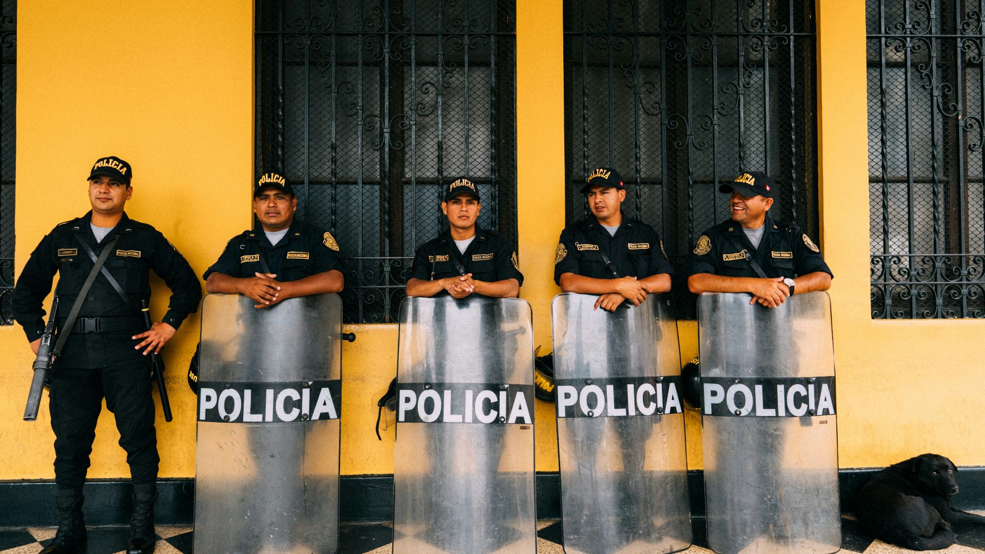 police man holding windshield