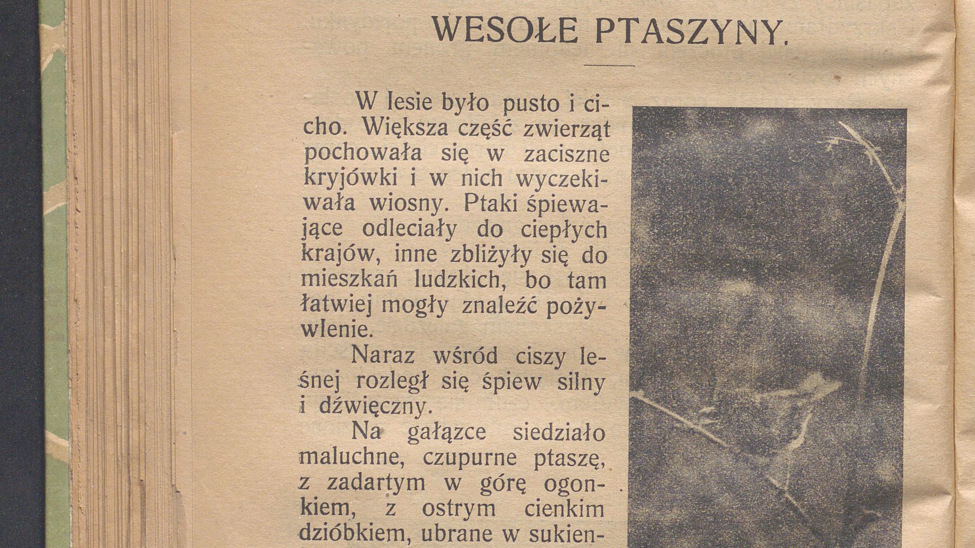 File:Z naszych pol i lasow 1922 (97725403).jpg