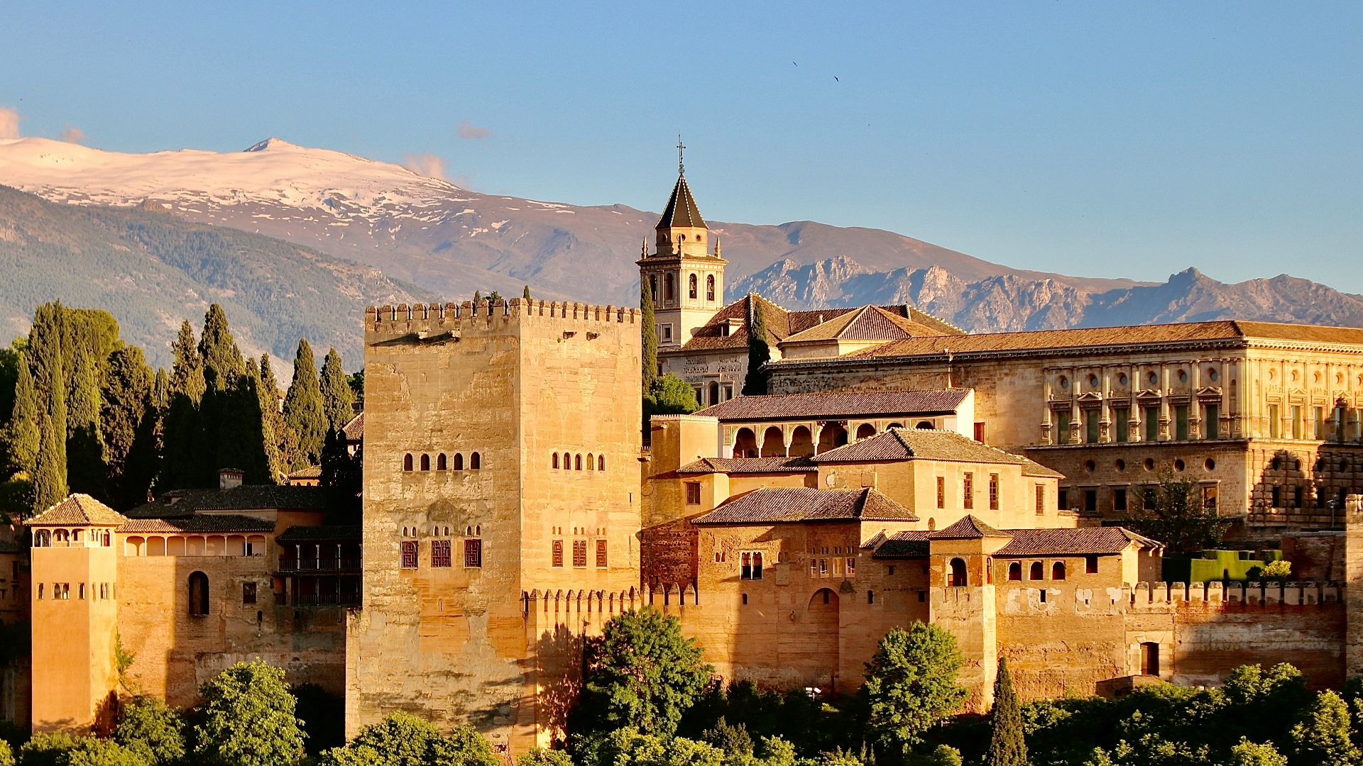 brown concrete castle surrounded by green trees during daytime