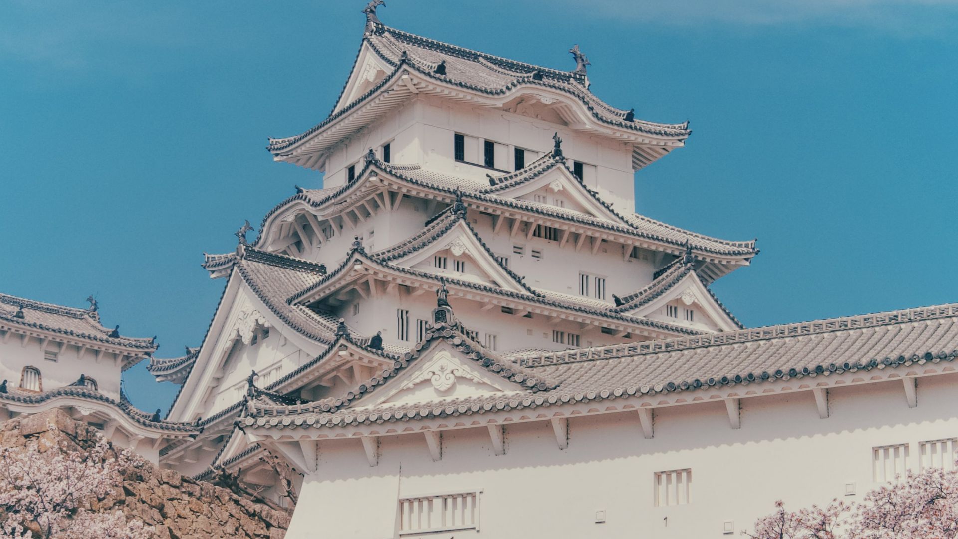 a castle with cherry blossoms in front of it