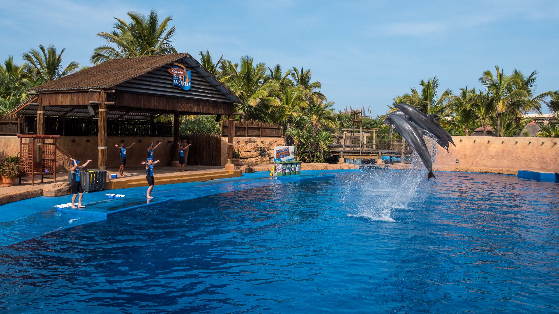 File:UShaka Marine World, Durban, KwaZulu-Natal, South Africa (19890466534).jpg
