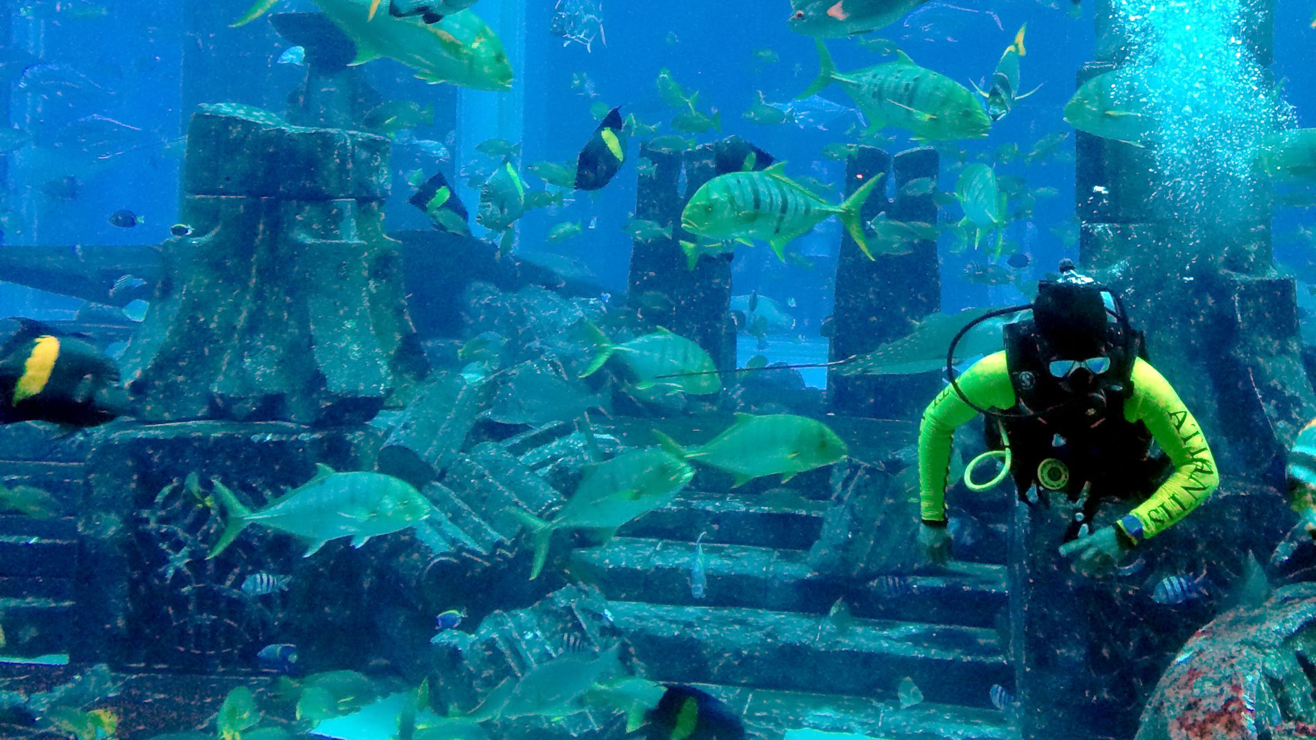 File:Atlantis Dubai Aquarium.jpg