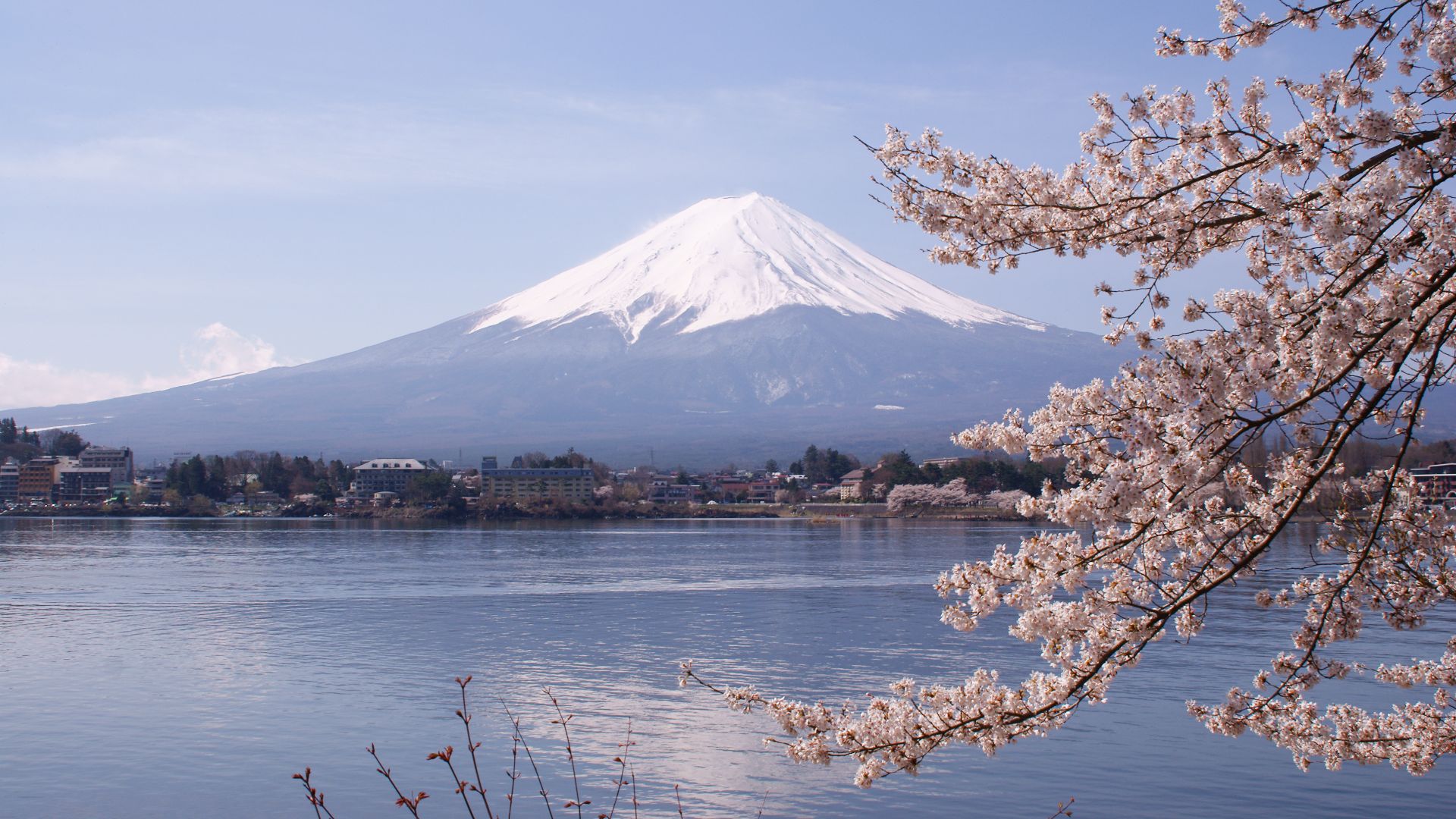 File:Lake Kawaguchiko Sakura Mount Fuji 4.JPG