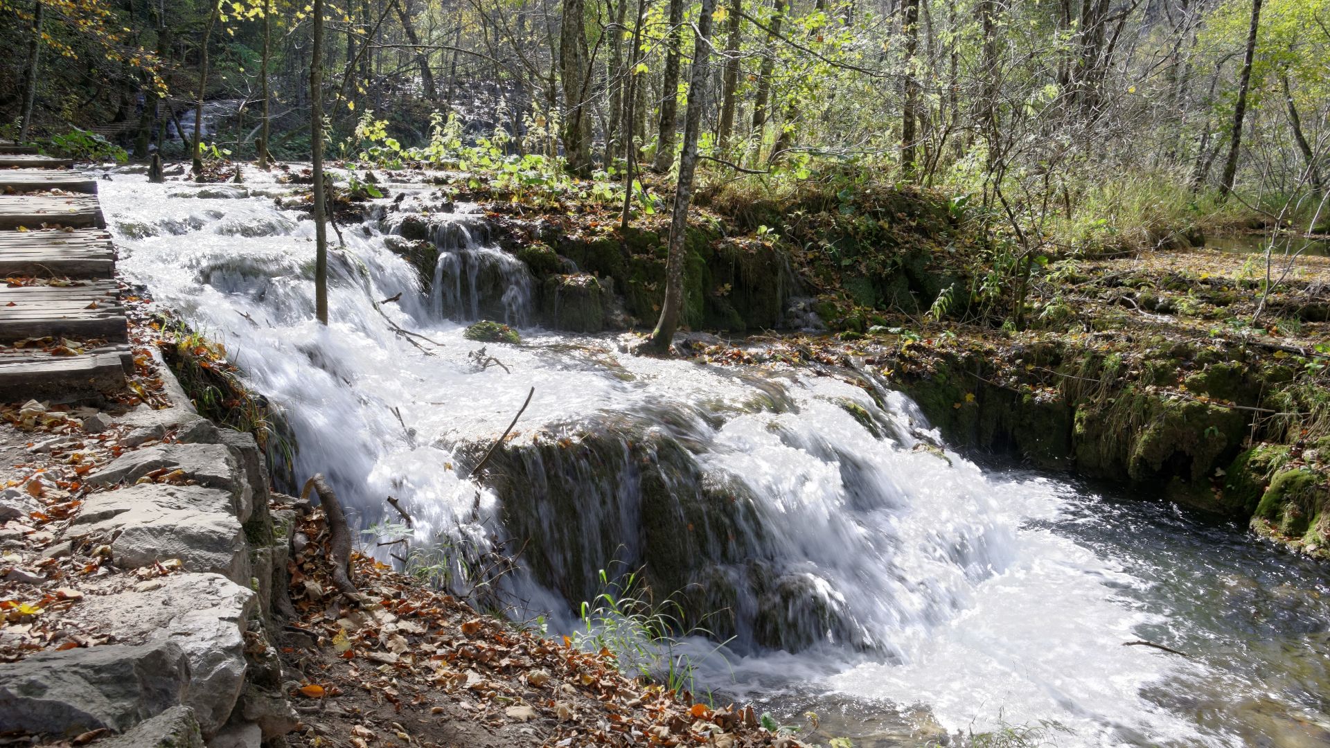 File:Plitvice Lakes National Park BW 2014-10-13 13-29-14.jpg