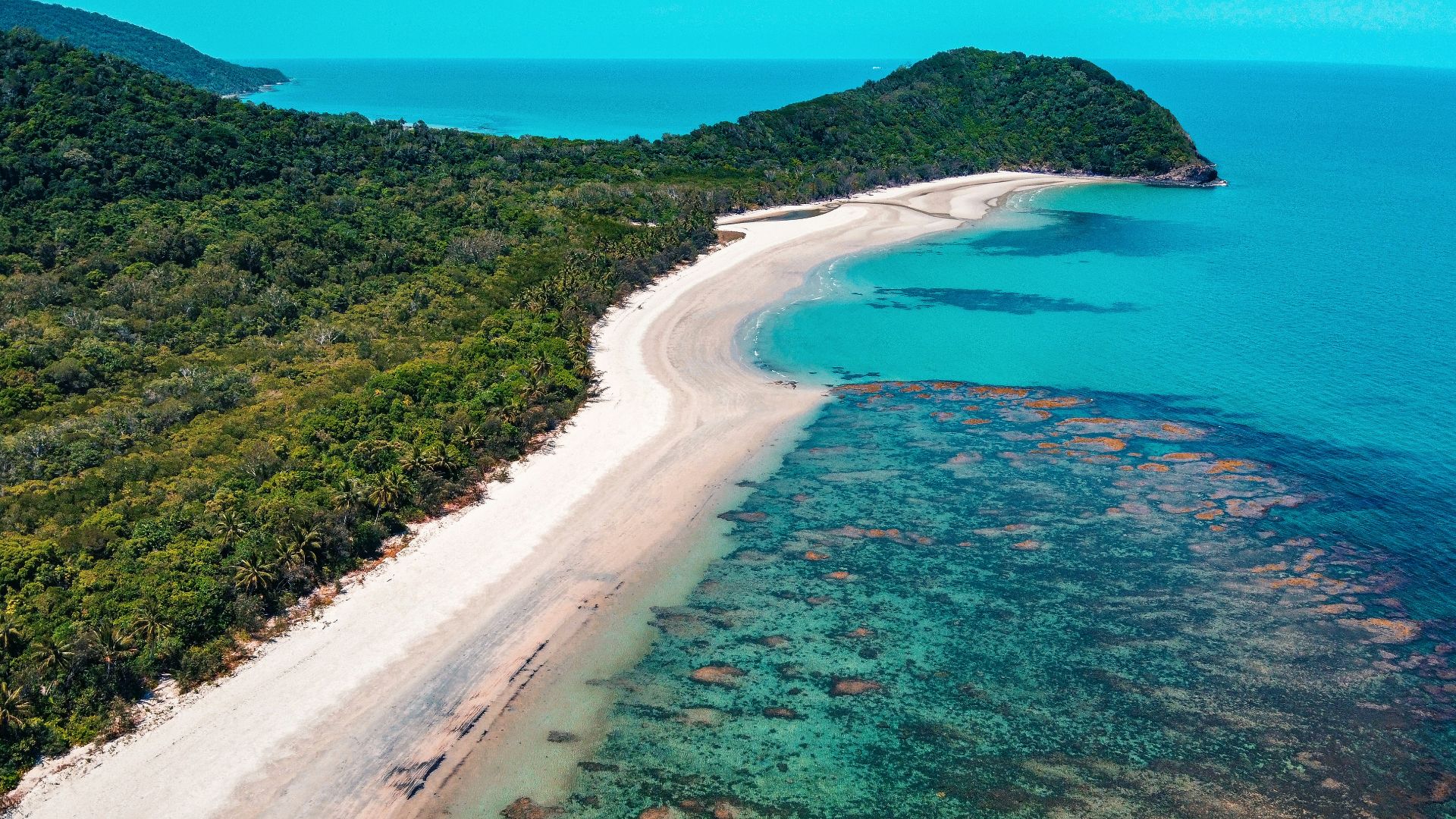 green trees beside blue sea during daytime