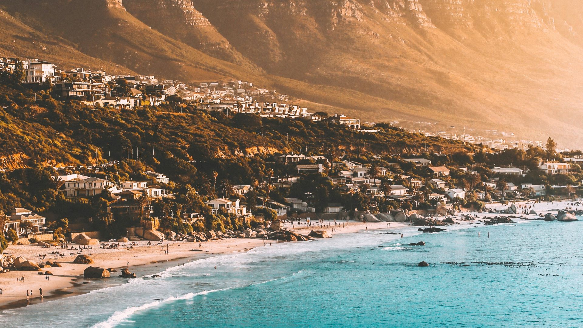 people on beach shore