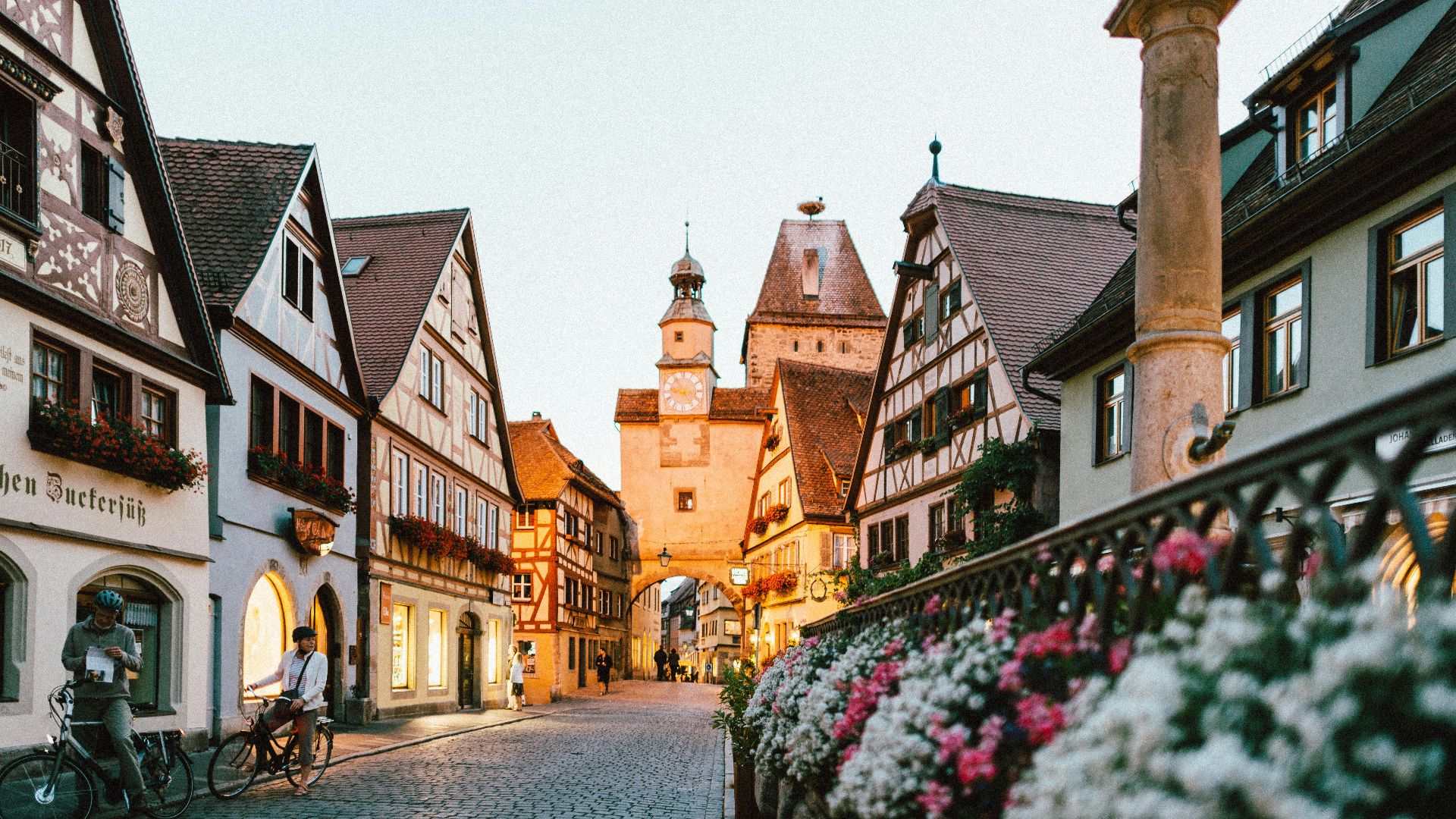 white and pink petaled flowers on metal fence near concrete houses and tower at daytime