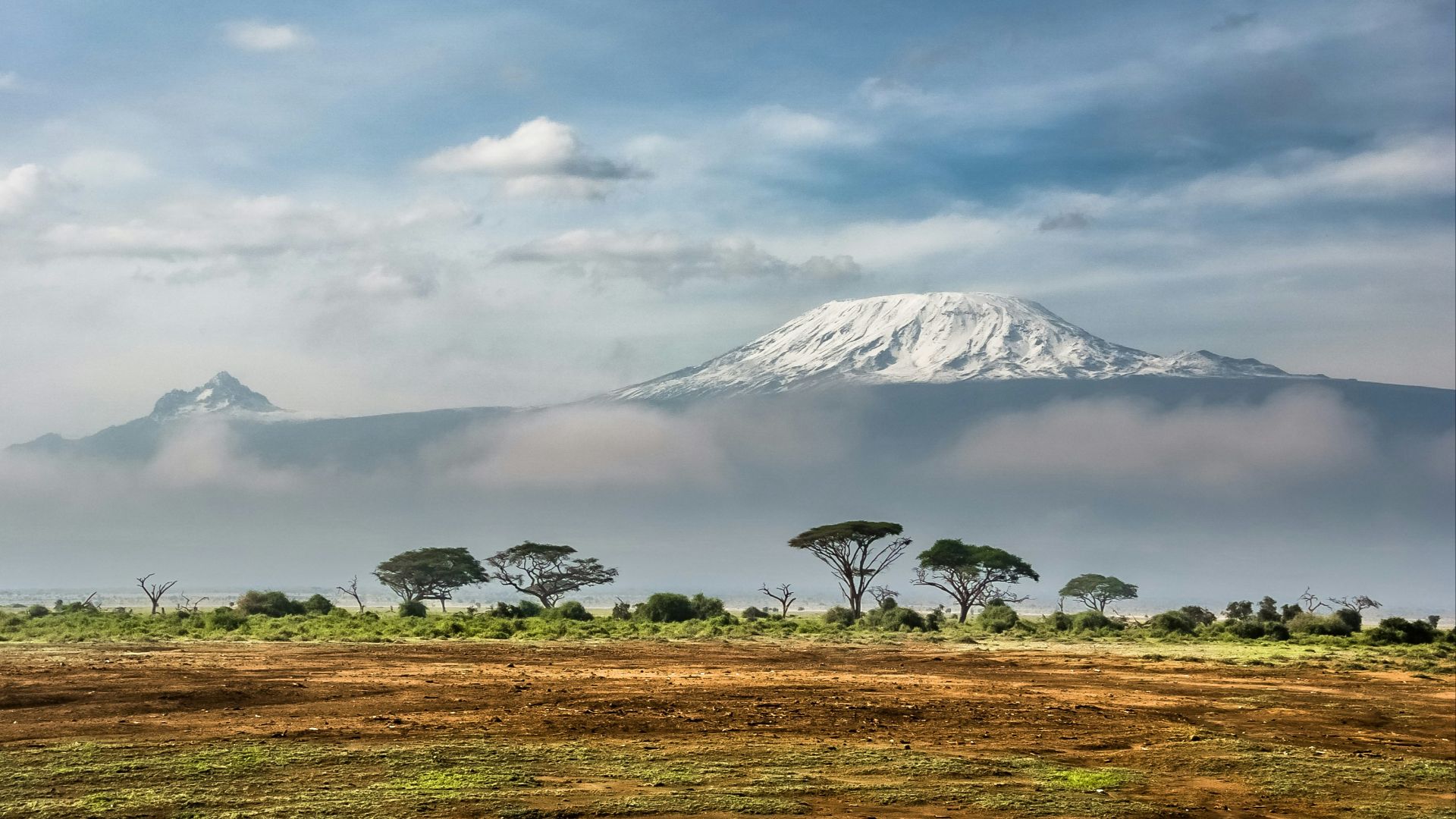 green leaf tree near mountain covered by snow at daytime
