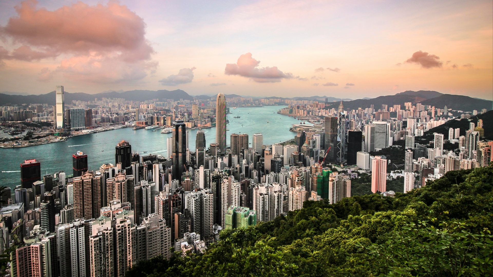 aerial photography of city, body of water, and forest