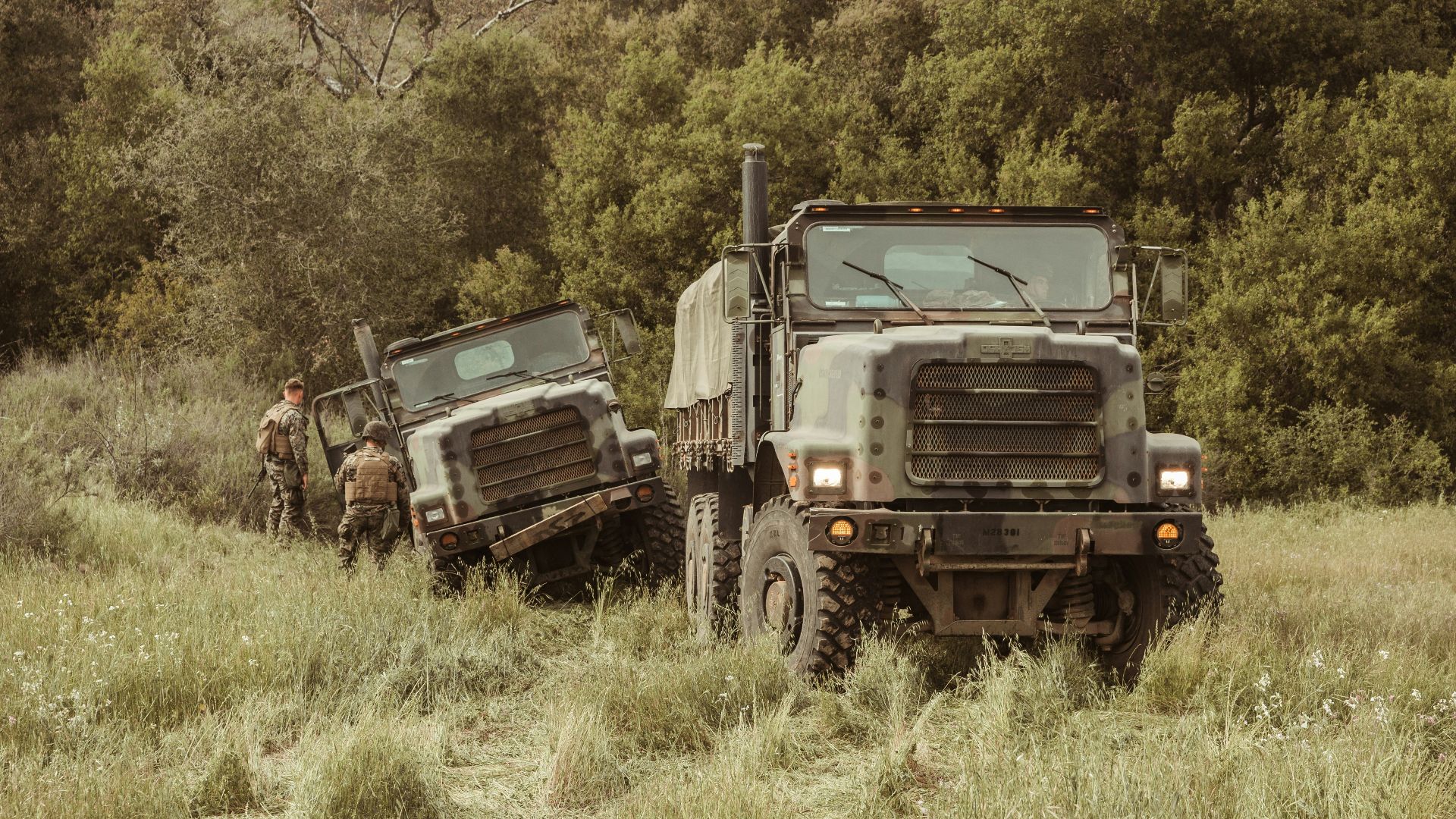 brown and black truck on green grass field during daytime
