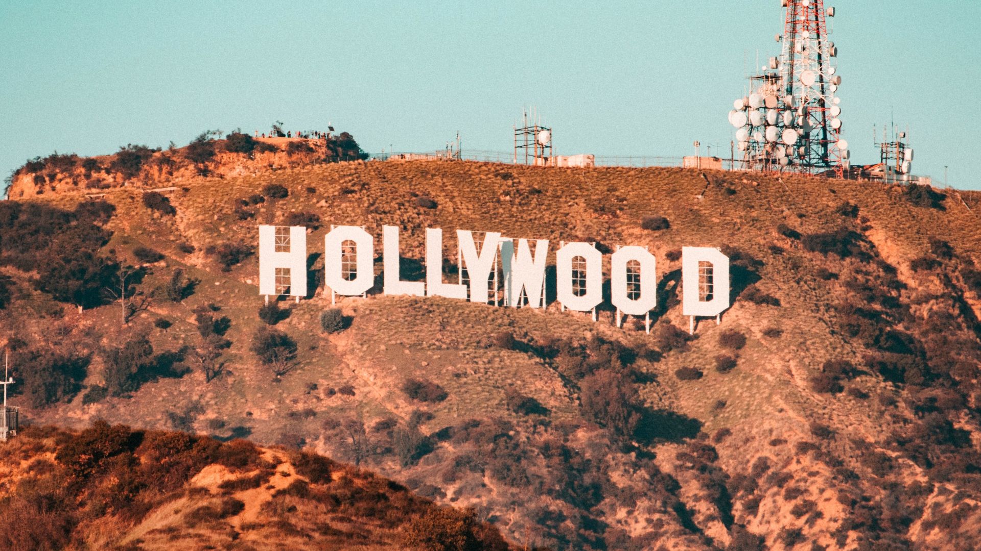 brown and white hollywood sign