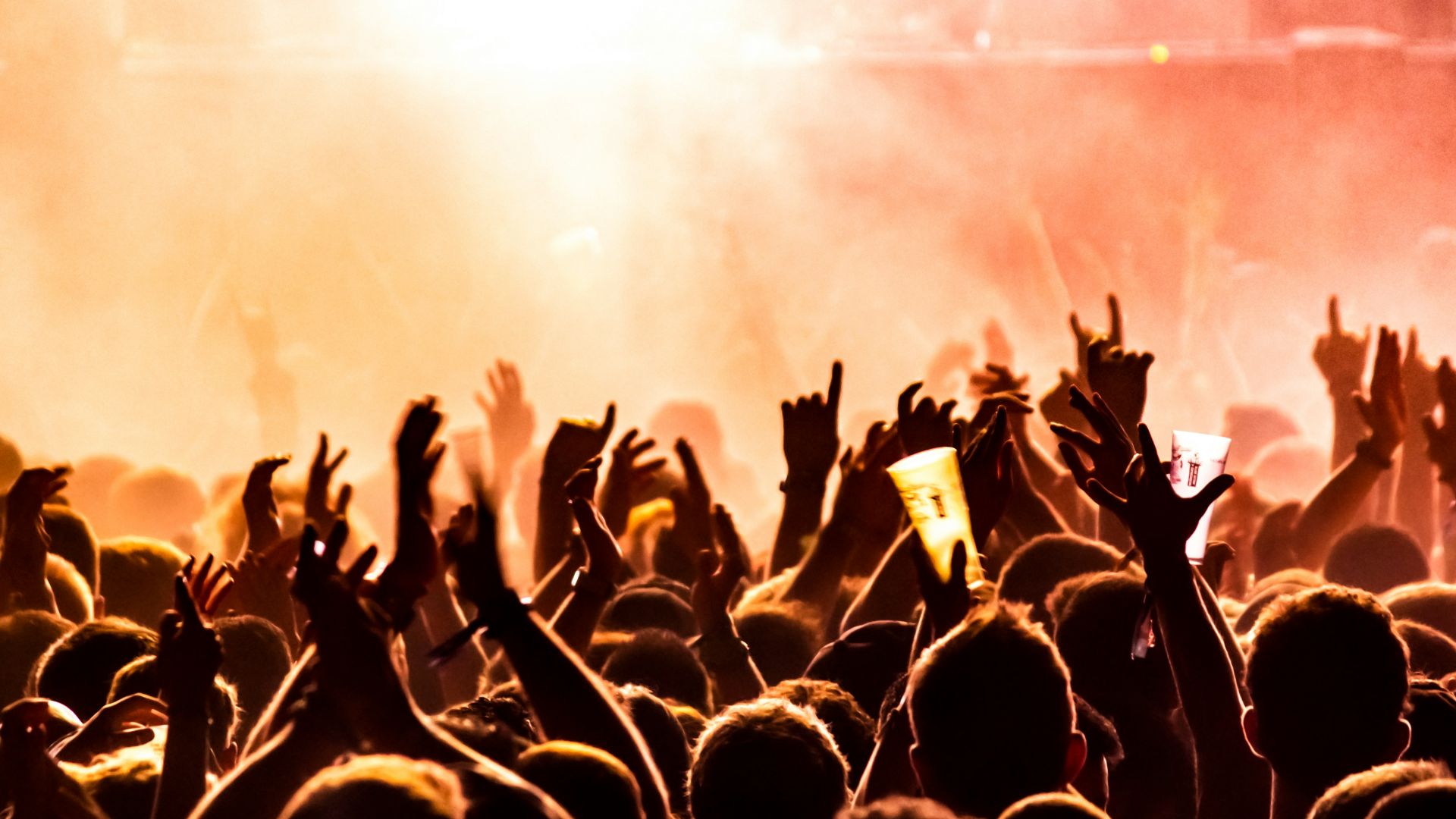 people raising their hands on concert