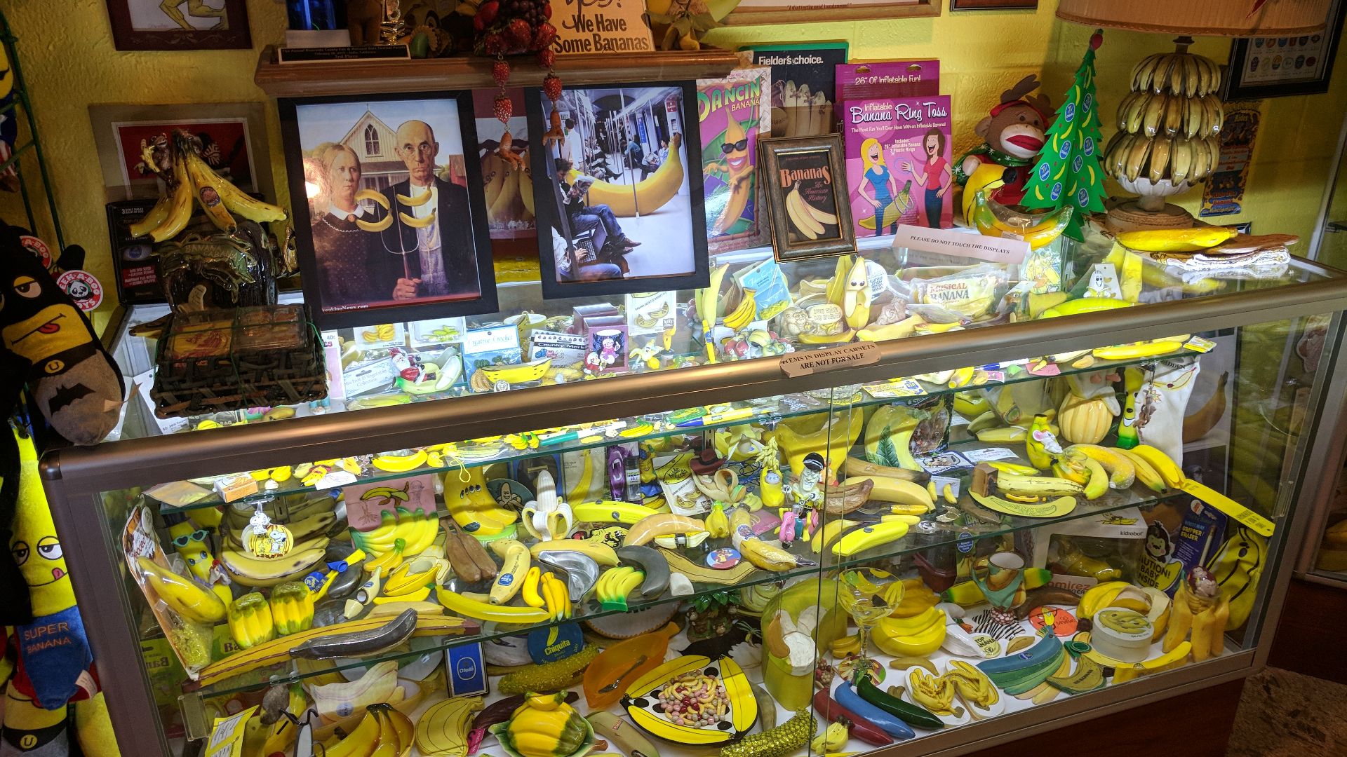 File:International Banana Museum (37975429364).jpg