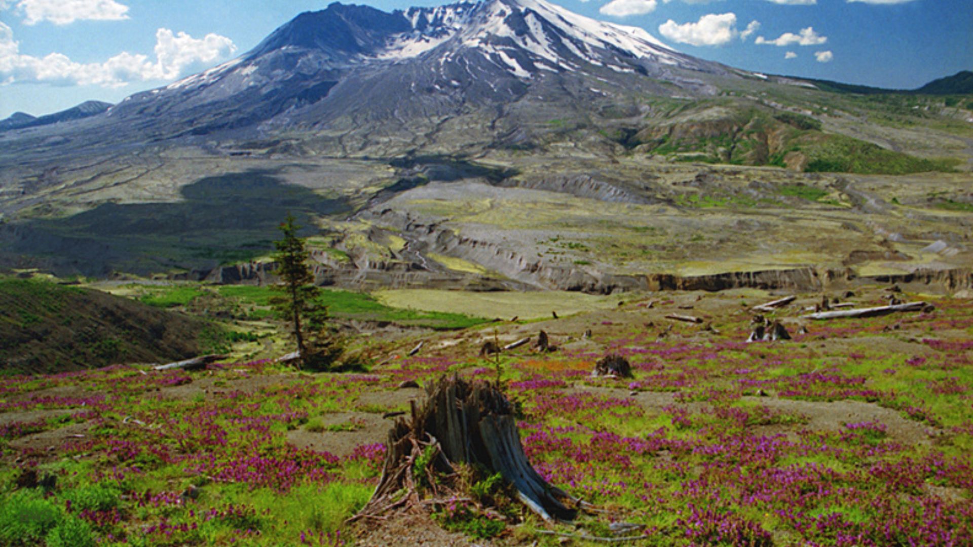 File:A103, Mount Saint Helens National Volcanic Monument, Washington, USA, 2004.jpg