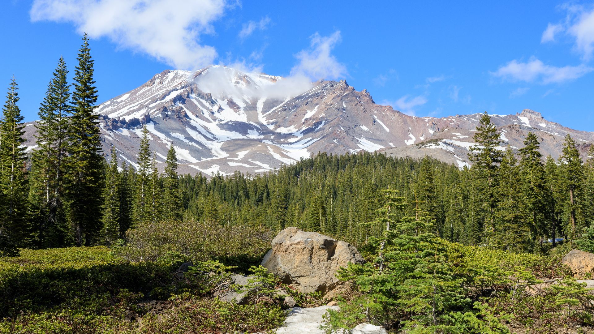 File:Mount Shasta as seen from Bunny Flat.jpg