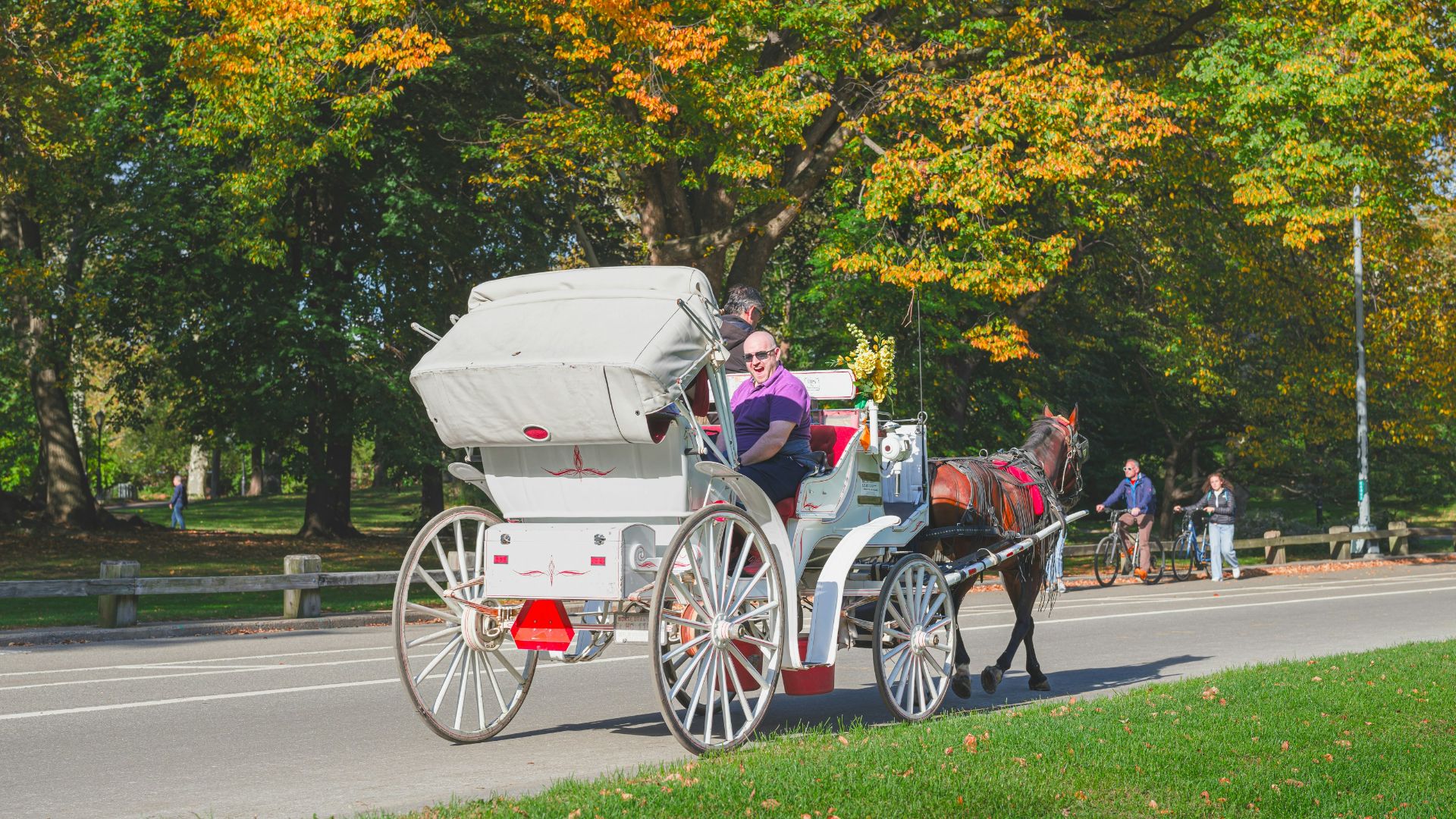 a horse drawn carriage traveling down a road