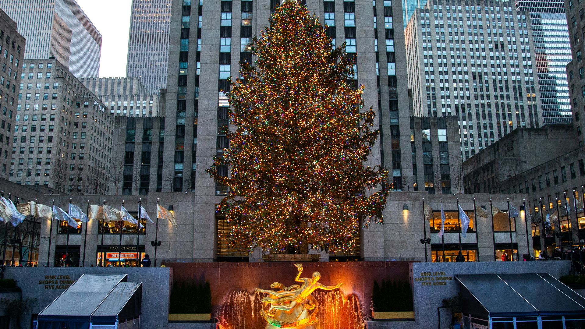 a large christmas tree in a city square