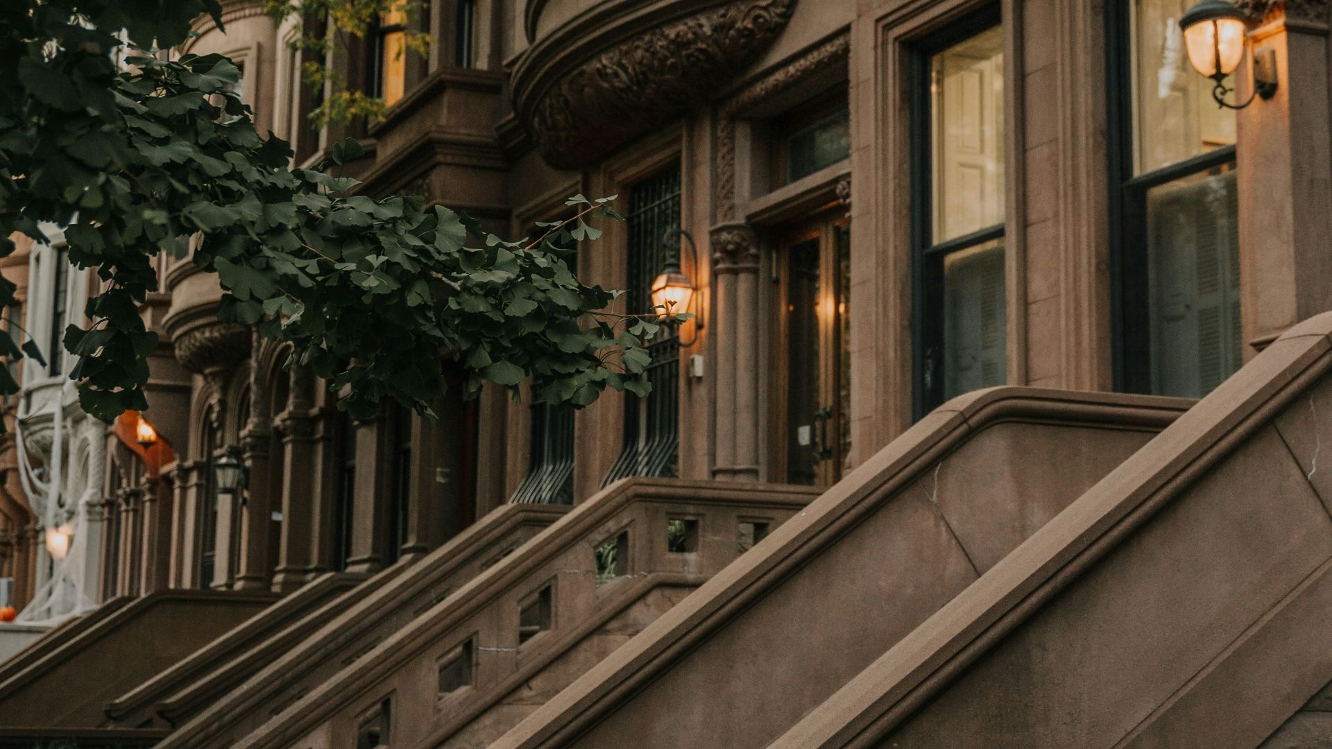 green tree in front of brown concrete building