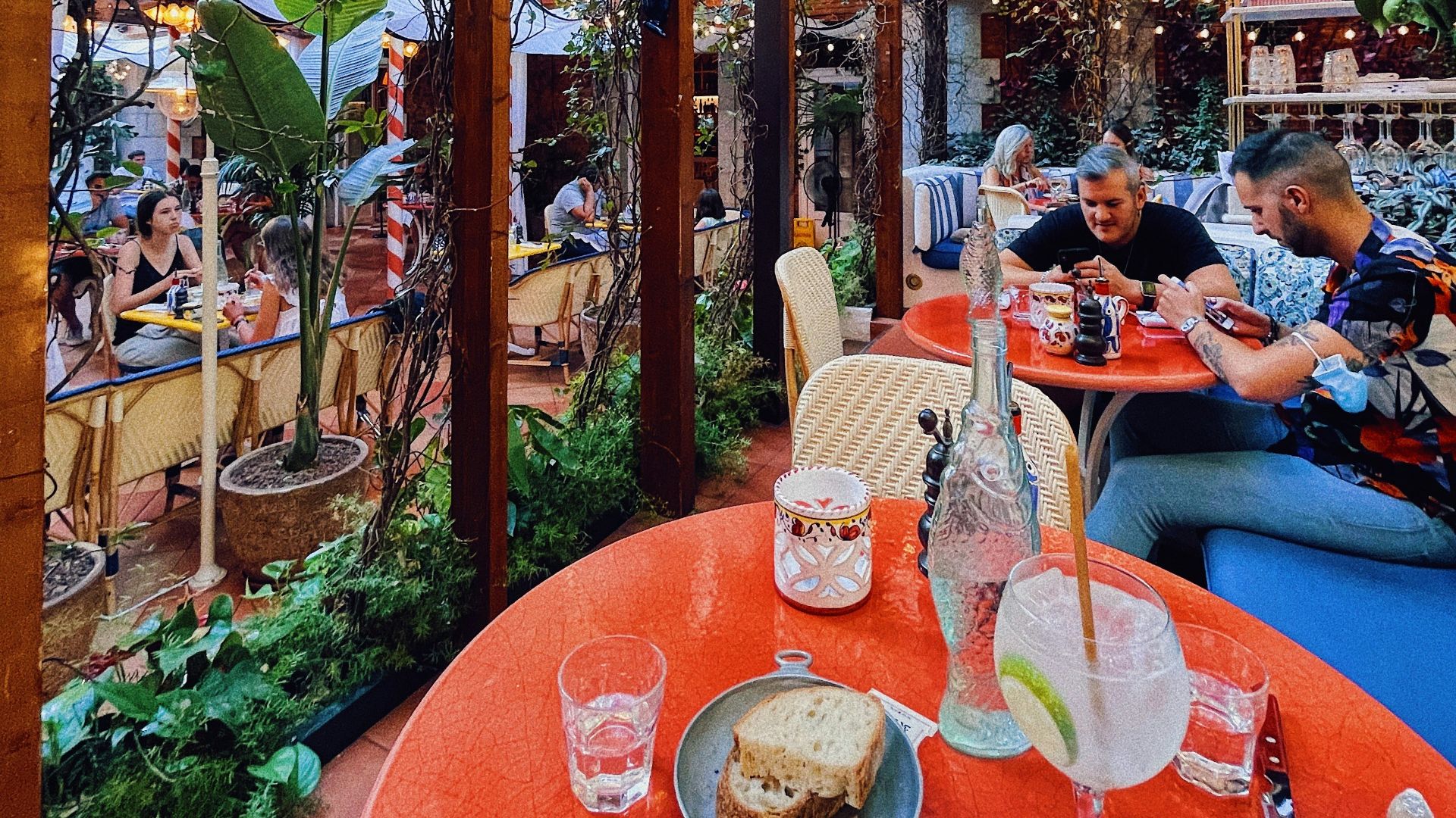 people sitting on chair near green plants during daytime