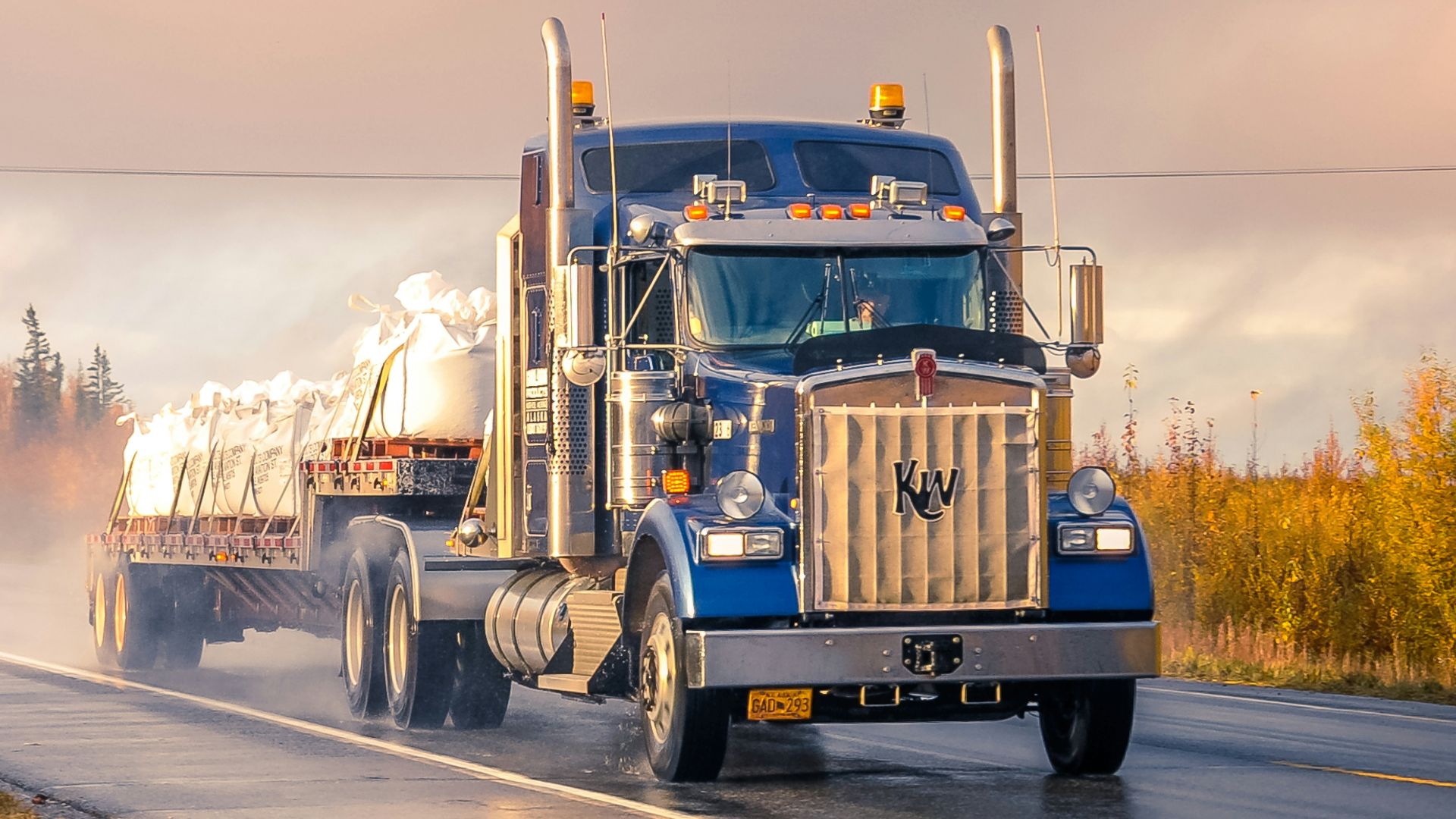 white and blue truck on road during daytime