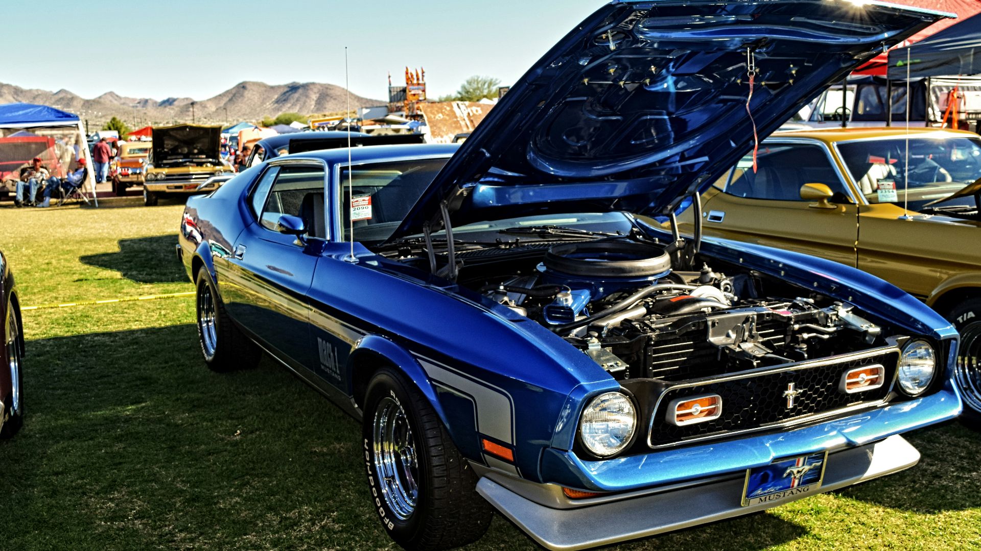 blue Ford Mustang coupe