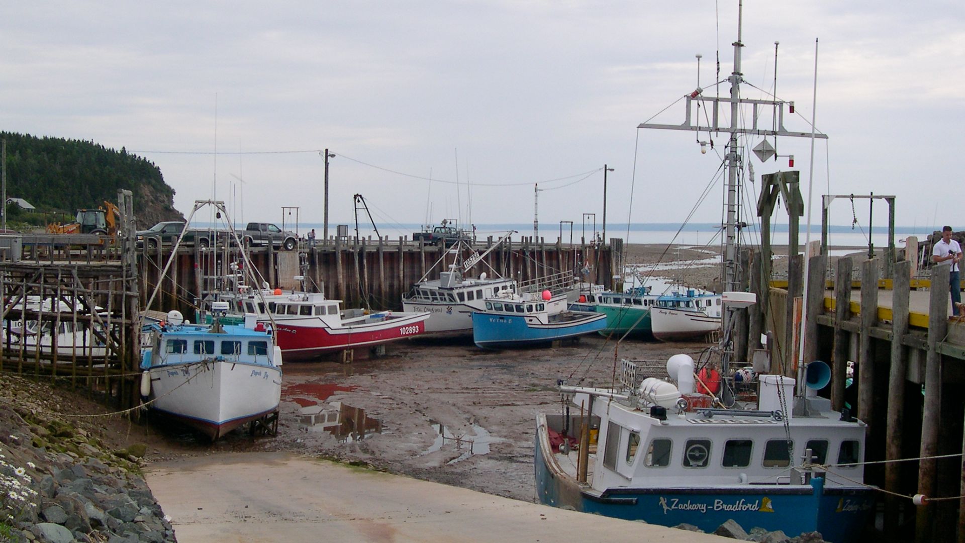 File:Bay of Fundy - Tide Out.jpg